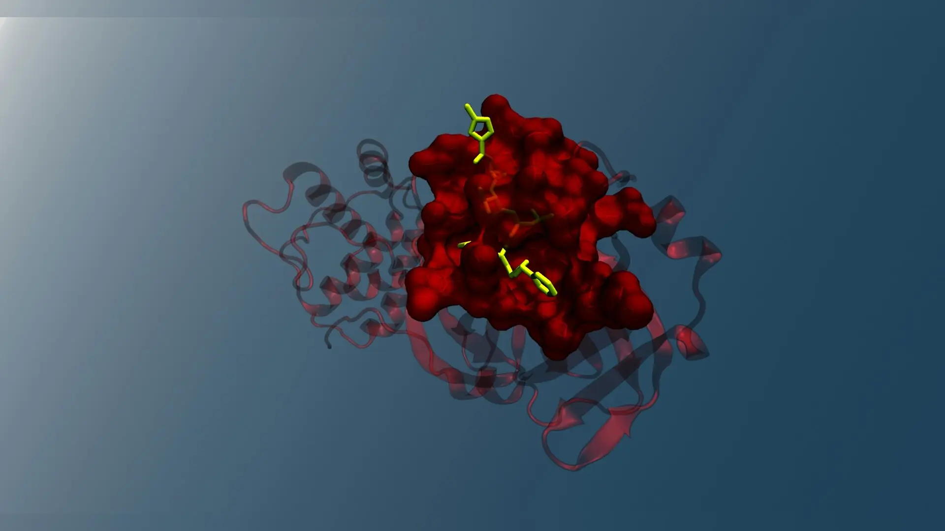 Porous Organic Cages Unlock Stable Palladium Catalysis for C–H Activation