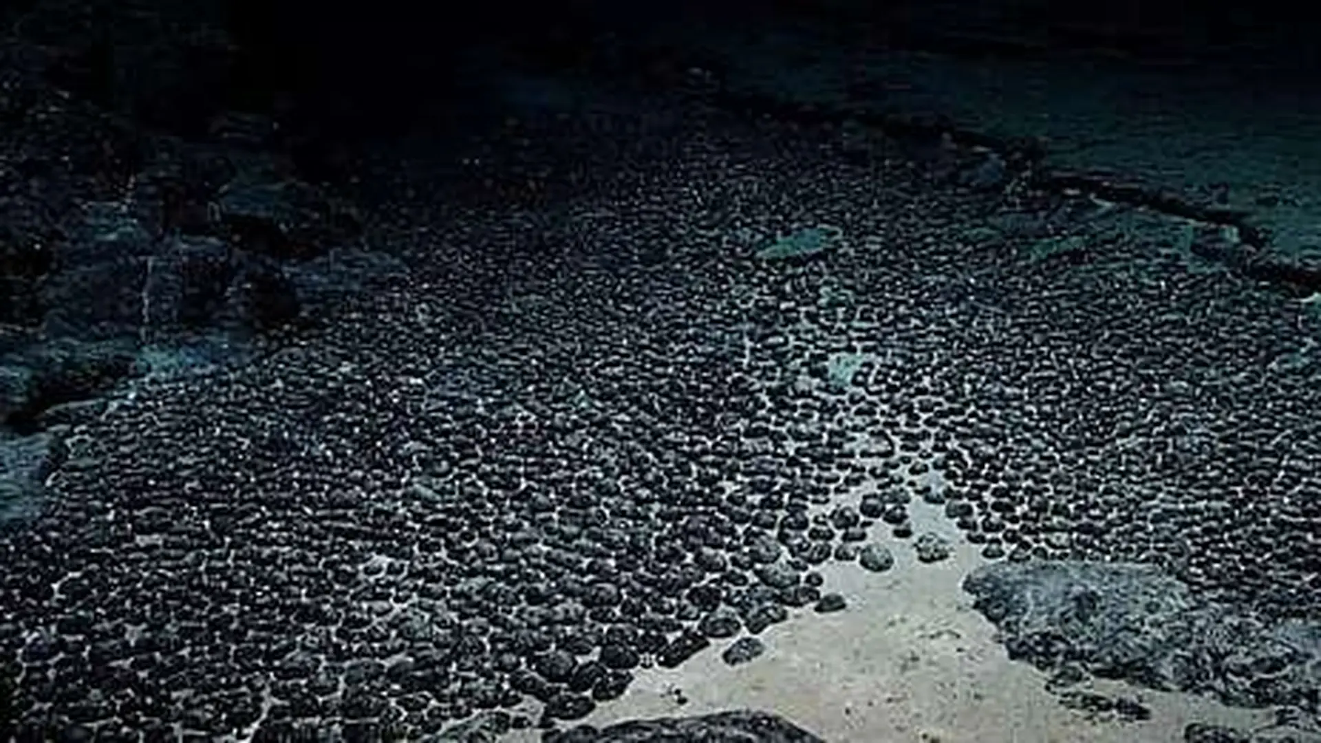 Oxygen Is Forming In The Deep Pacific Darkness Scaled