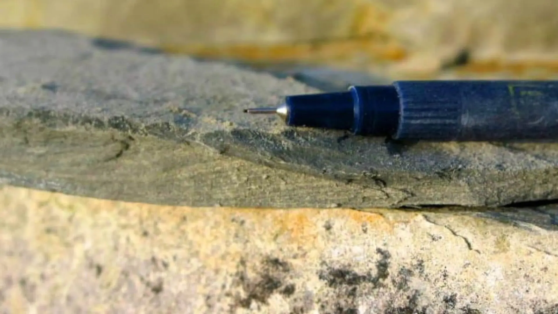 Scientists Found A 440 Million Year Old Fungus On Land With No Trees And Still Cant Explain What It Was Eating Scaled 1