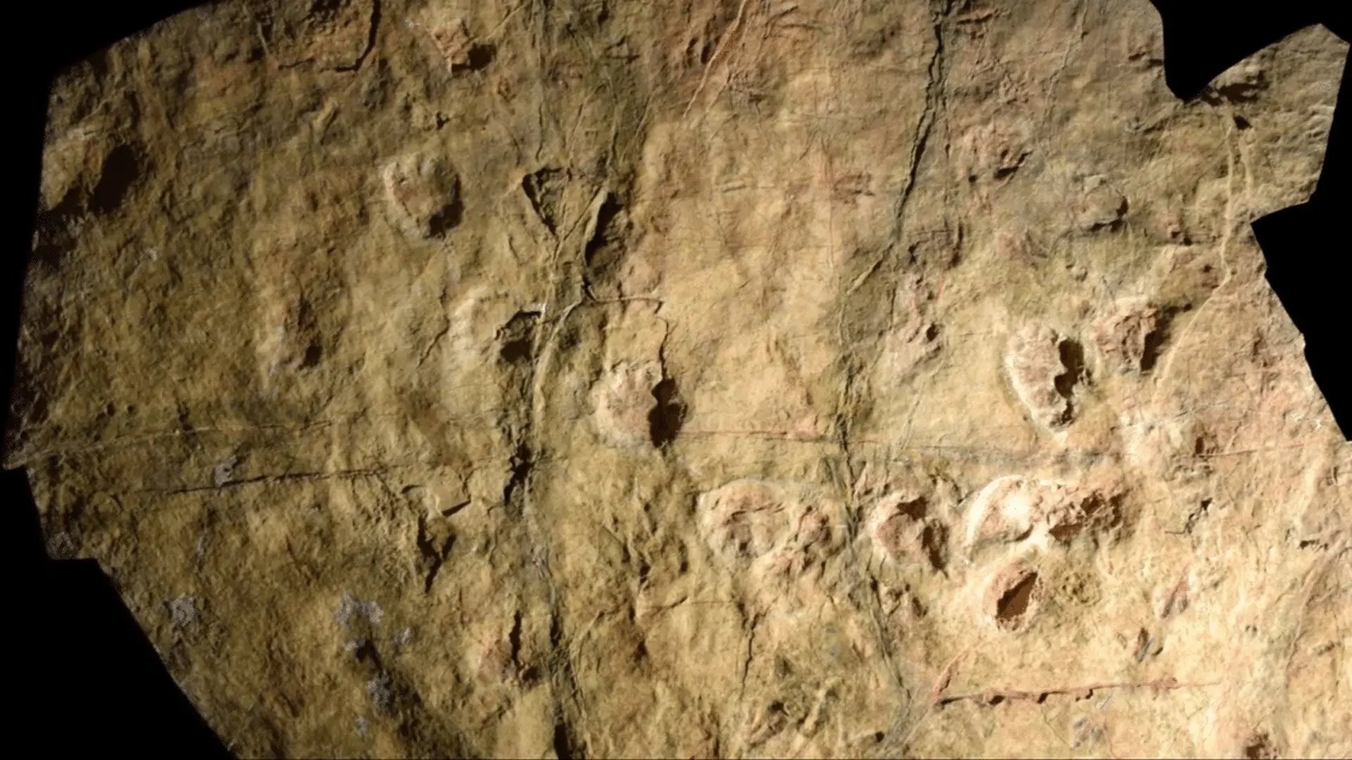 230 Million Year Old Footprints Could Mark The Worlds Oldest Dinosaur Dominated Landscape Scaled