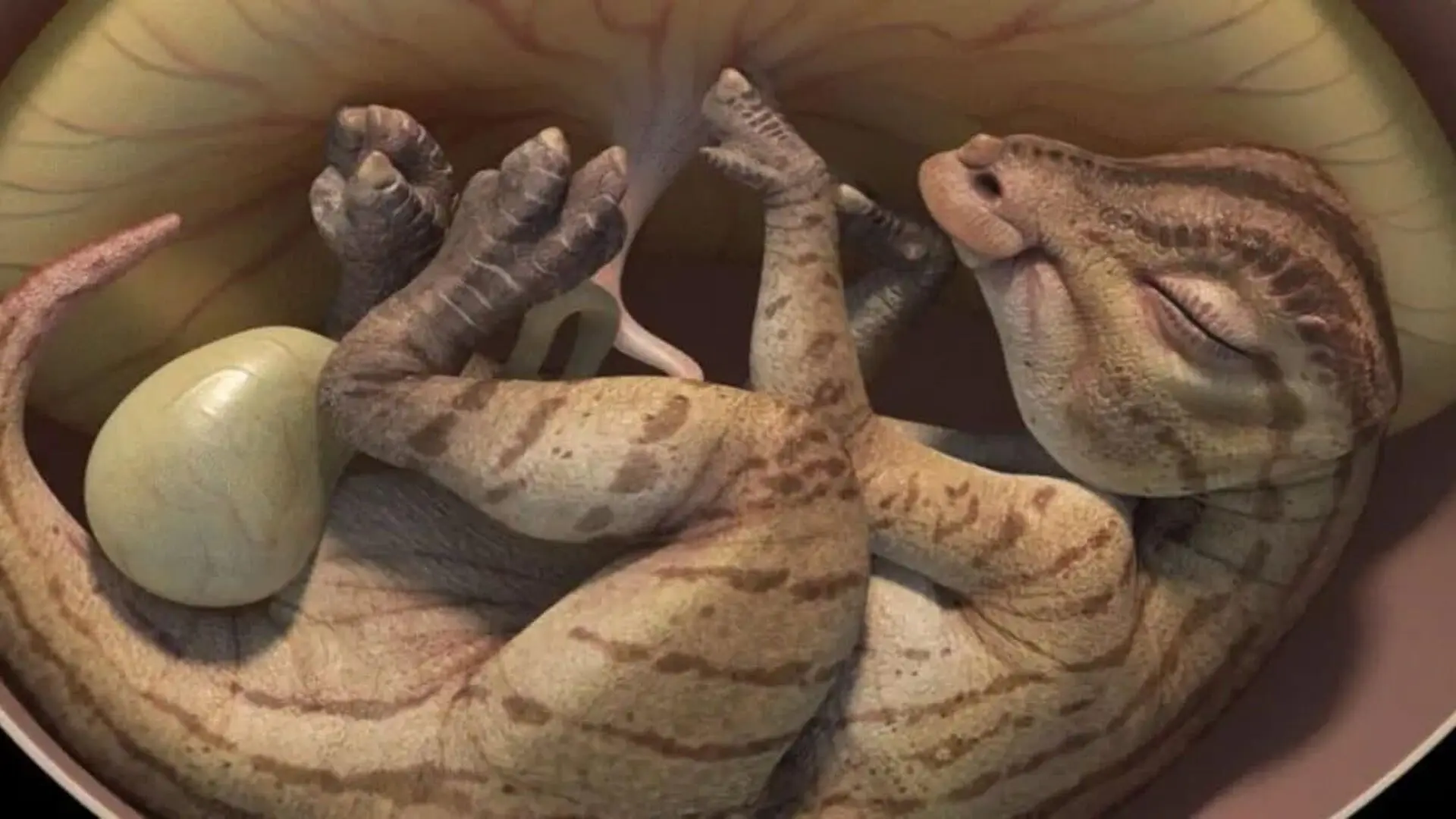 Construction Workers Blasting In China Uncovered A Clutch Of Dinosaur Eggs And At Least Two Still Held Embryos Scaled 1