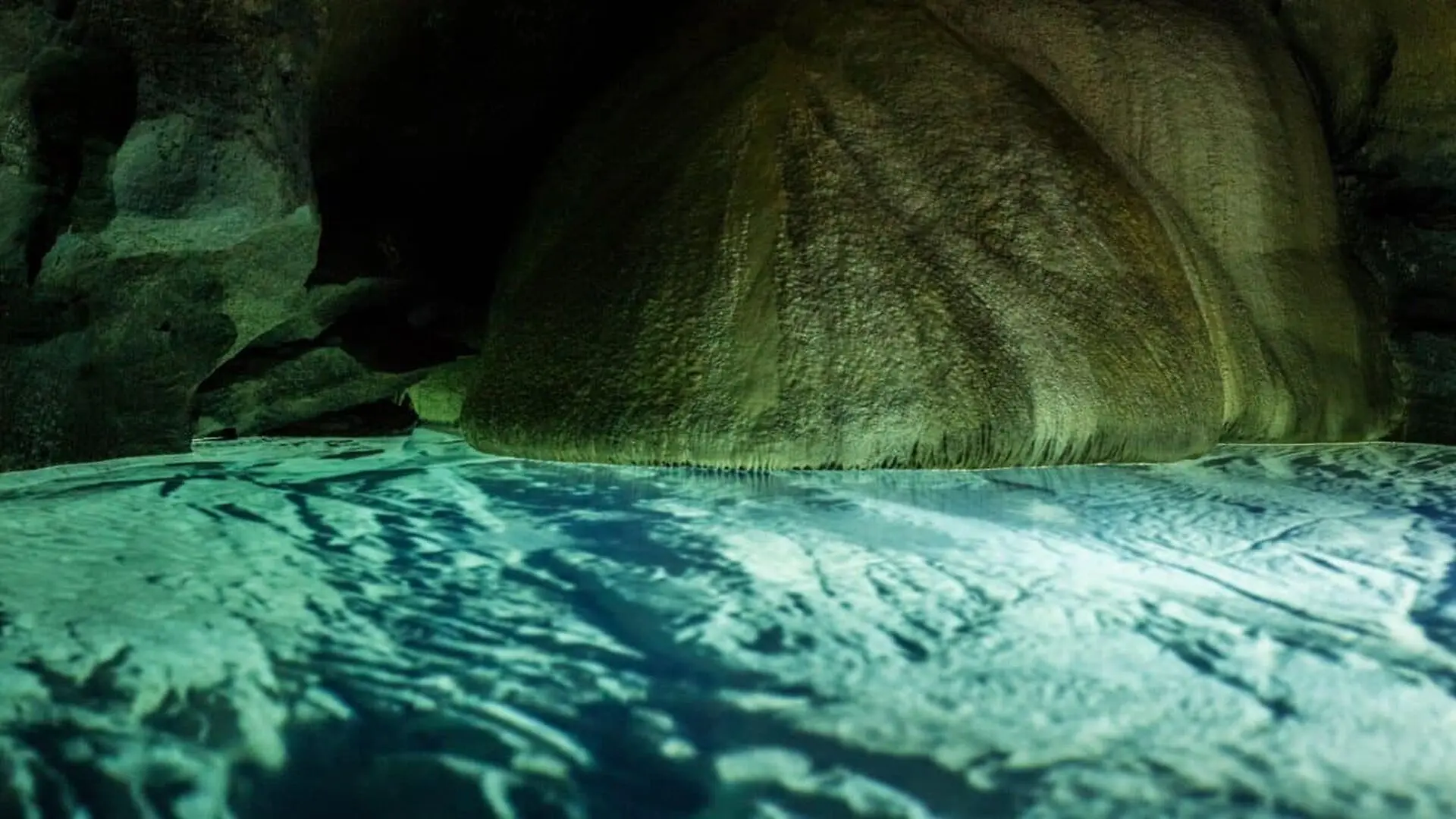 Scientists Found A Sesame Seed Sized Eyeless Species In Japans Cave Waters And Another One Even Smaller Scaled