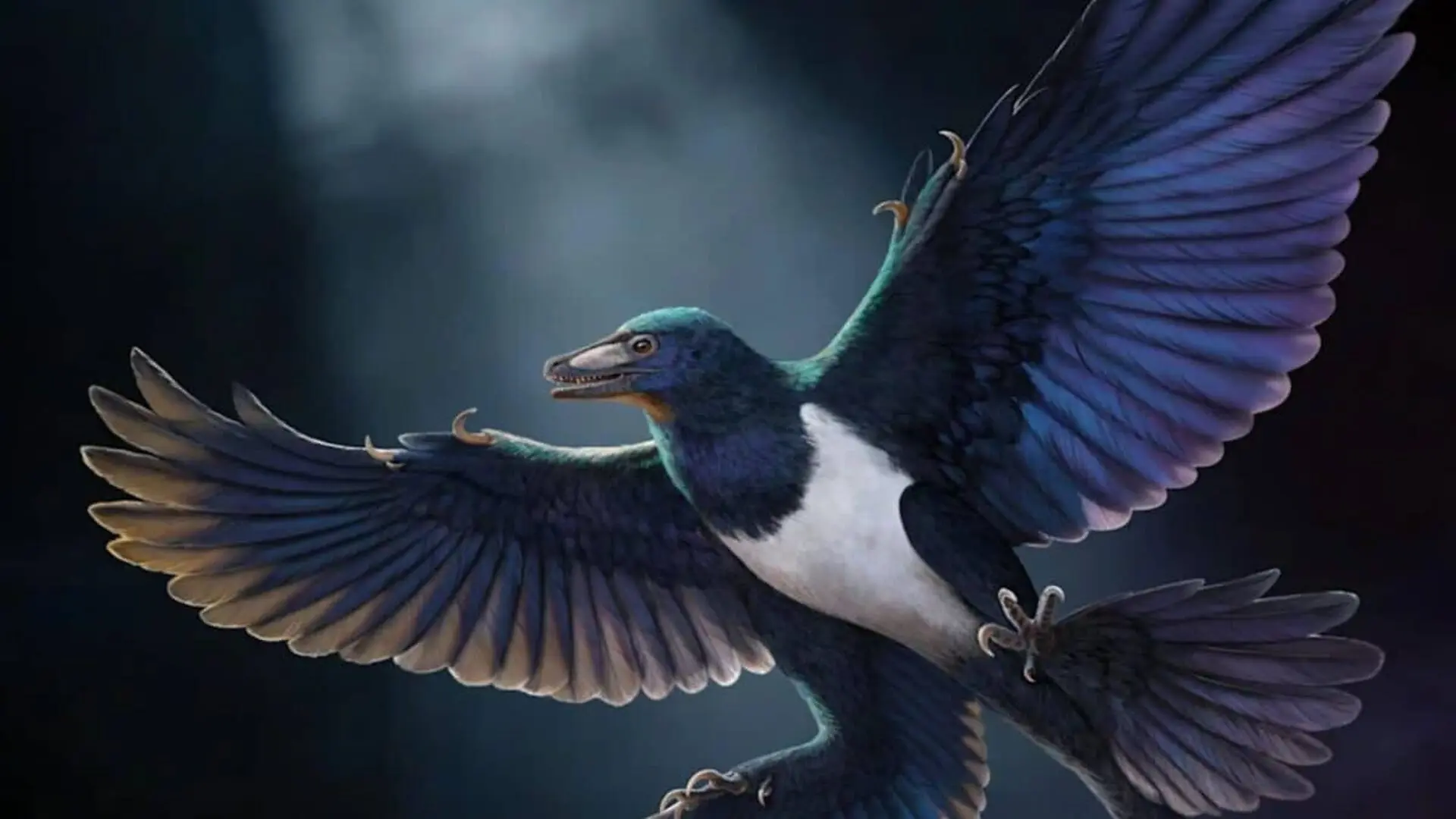 Scientists Found A 21 Inch Four Winged Dinosaur In China And It Adds Evidence That Flight Evolved More Than Once Scaled