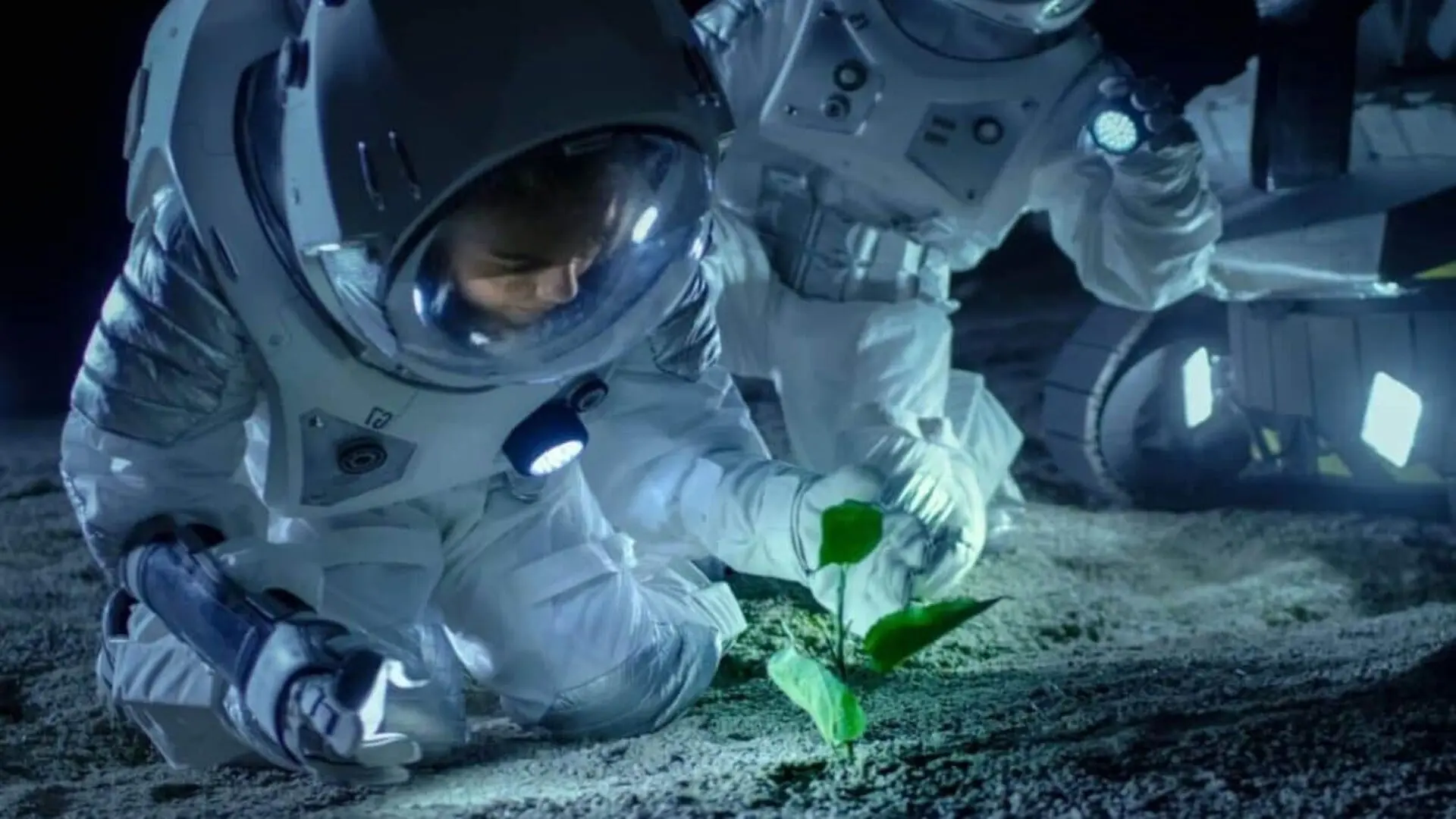 Chickpeas Grew To Seed In Moon Like Soil Scaled