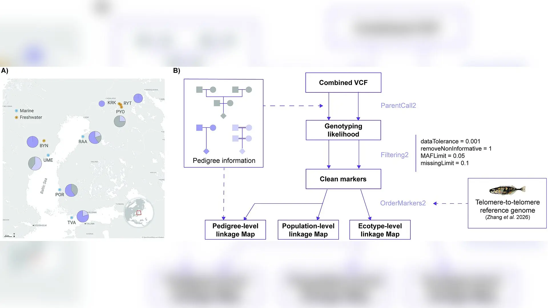 Tiny Inbred Fish Reveal Surprising Twist in Genomic Evolution