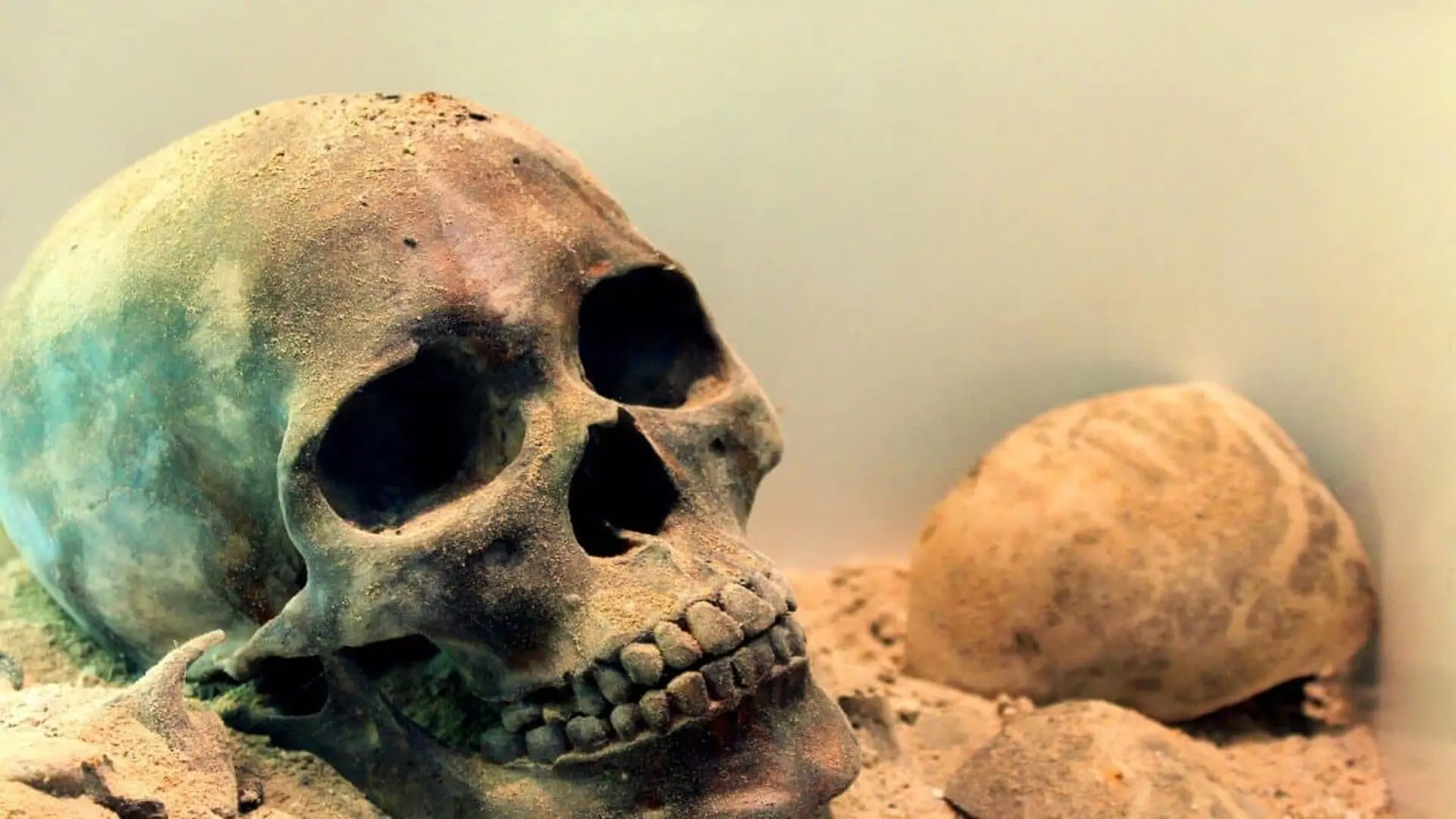 One Ancient Fossil Is Challenging What Scientists Thought They Knew About Early Humans Scaled