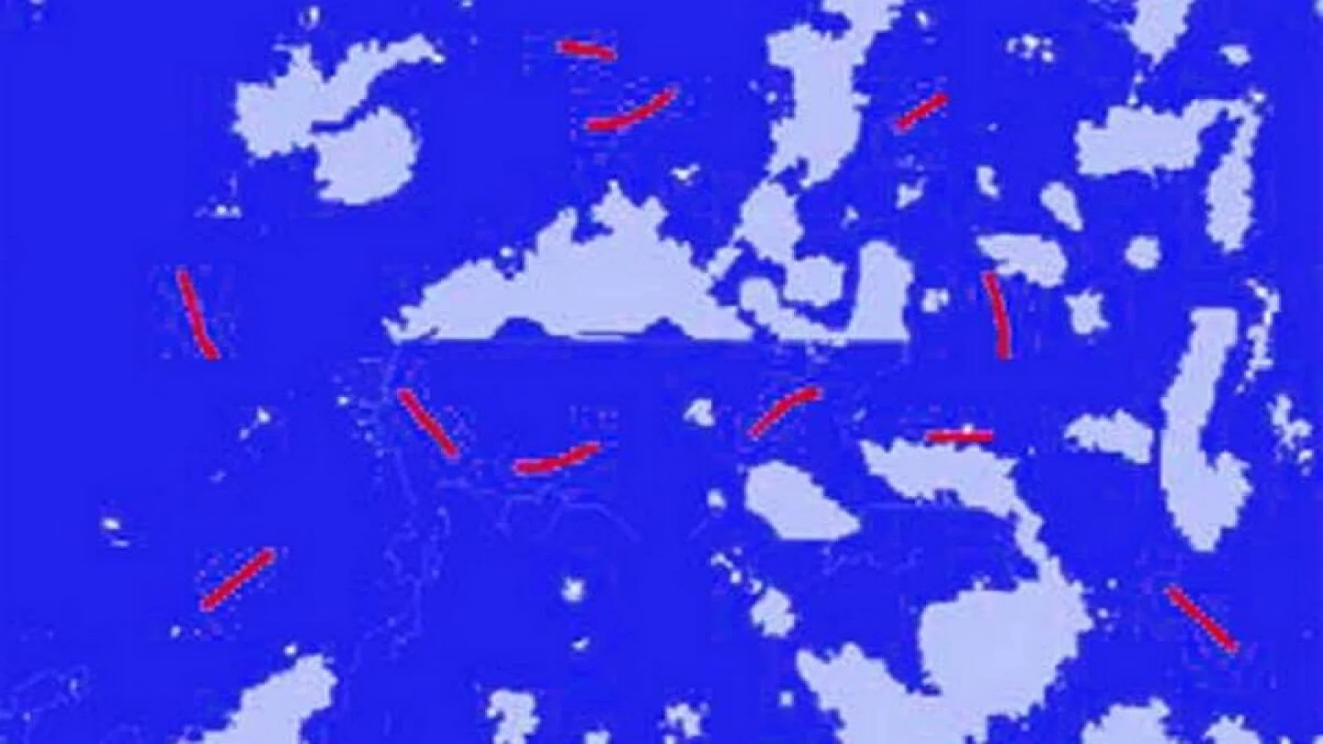 Sputum smear stained with Ziehl-Neelsen stain showing acid-fast bacilli.