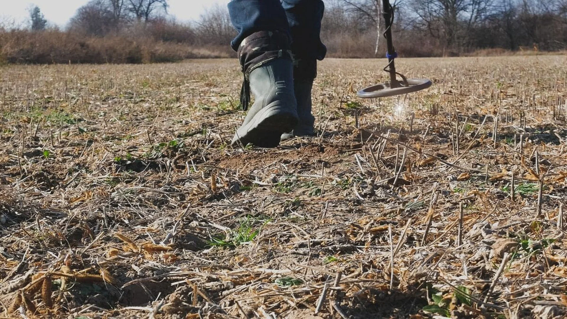 A Metal Detectorist Expected Another Roman Coin Instead He Unearthed A Roman Gold Ring Buried In A Field For 17 Centuries Scaled