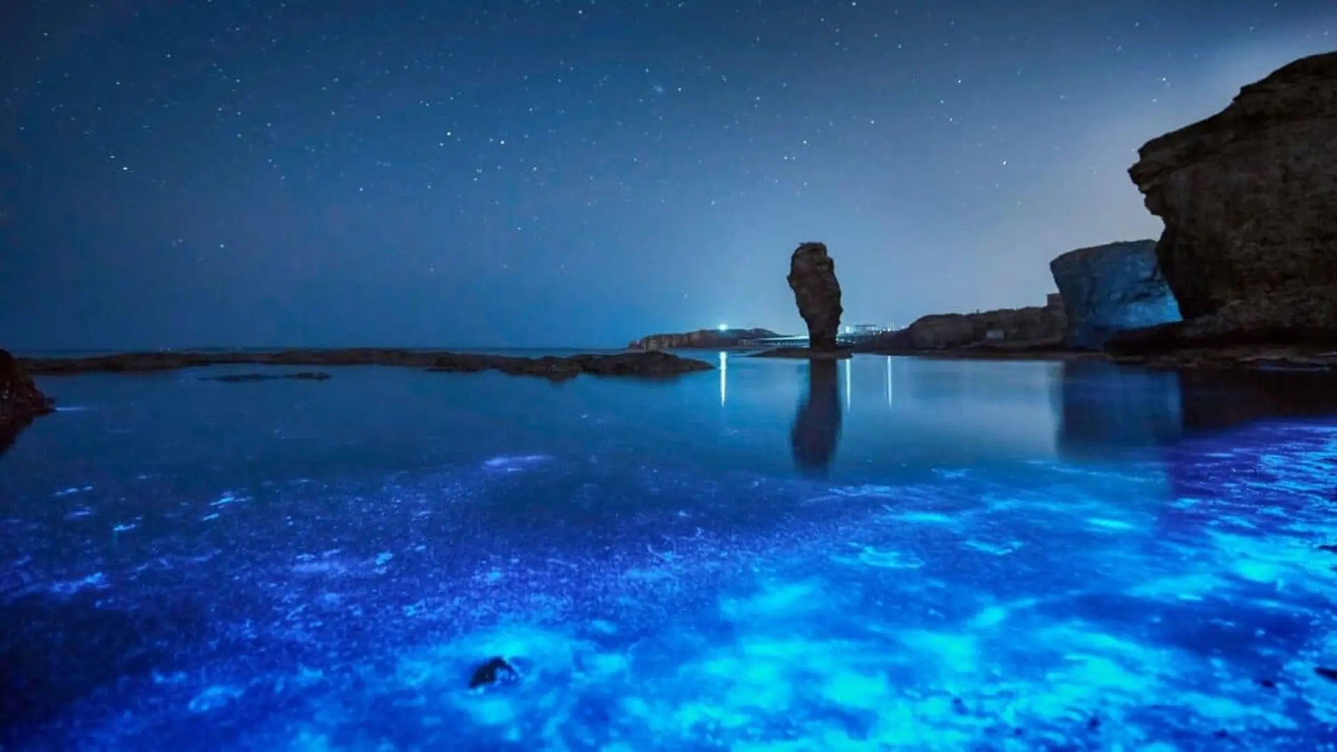 The Eerie Truth Behind The Worlds Rarest Glowing Seas Scaled