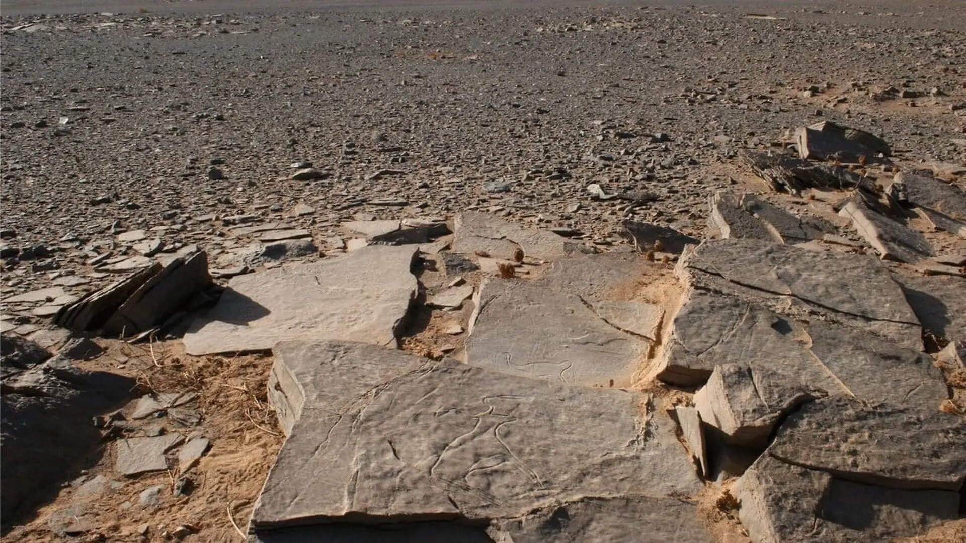 Archaeologists Found A Mysterious 180 Foot Stone Tomb In The Sahara. Heres What They Discovered Beneath It Scaled 1
