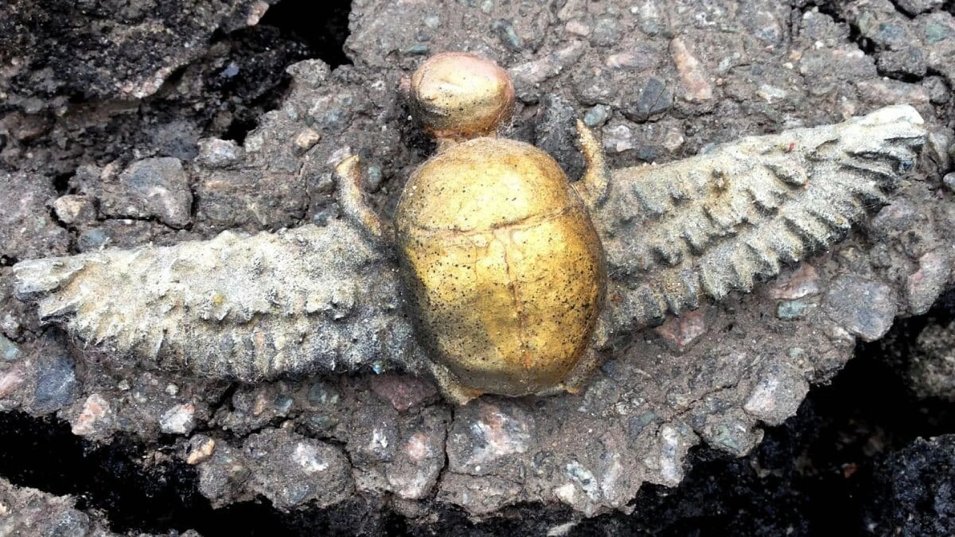 Scientists Discover Egyptian Amulet In Tomb In Spain Miles From Egypt And Wonder How It Got There Scaled