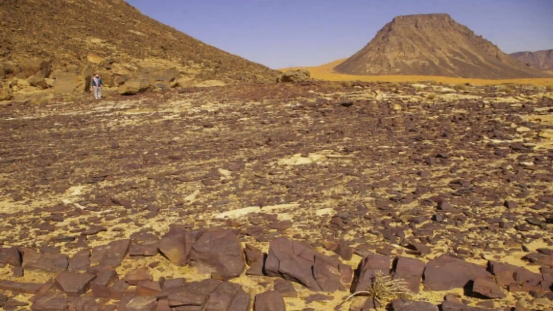 Neanderthals May Have Walked Into The Saudi Arabian Desert Years Ago Much Farther South Than Anyone Thought Scaled