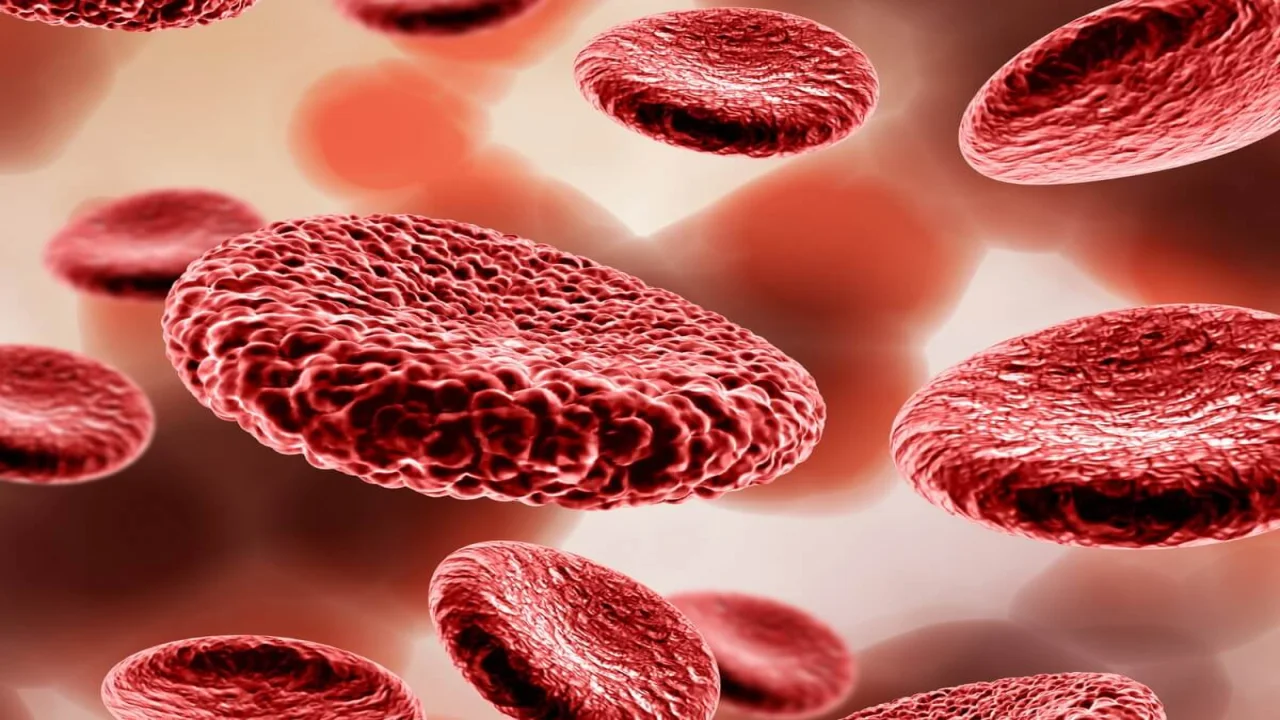 3D render of a medical background with blood cells.