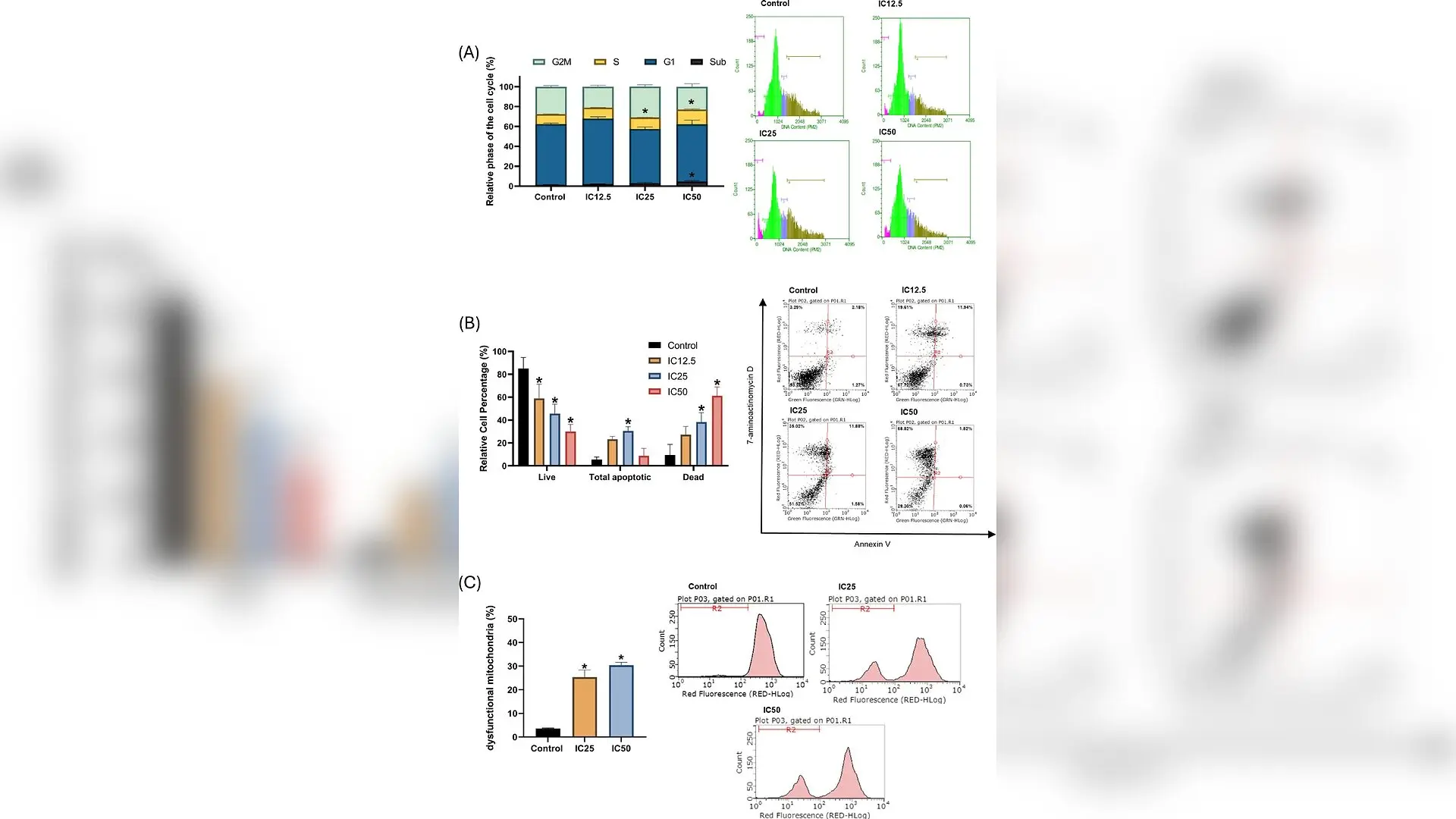 Yeast Biosurfactants Trigger Severe Stress and Cell Death in Breast Cancer Models