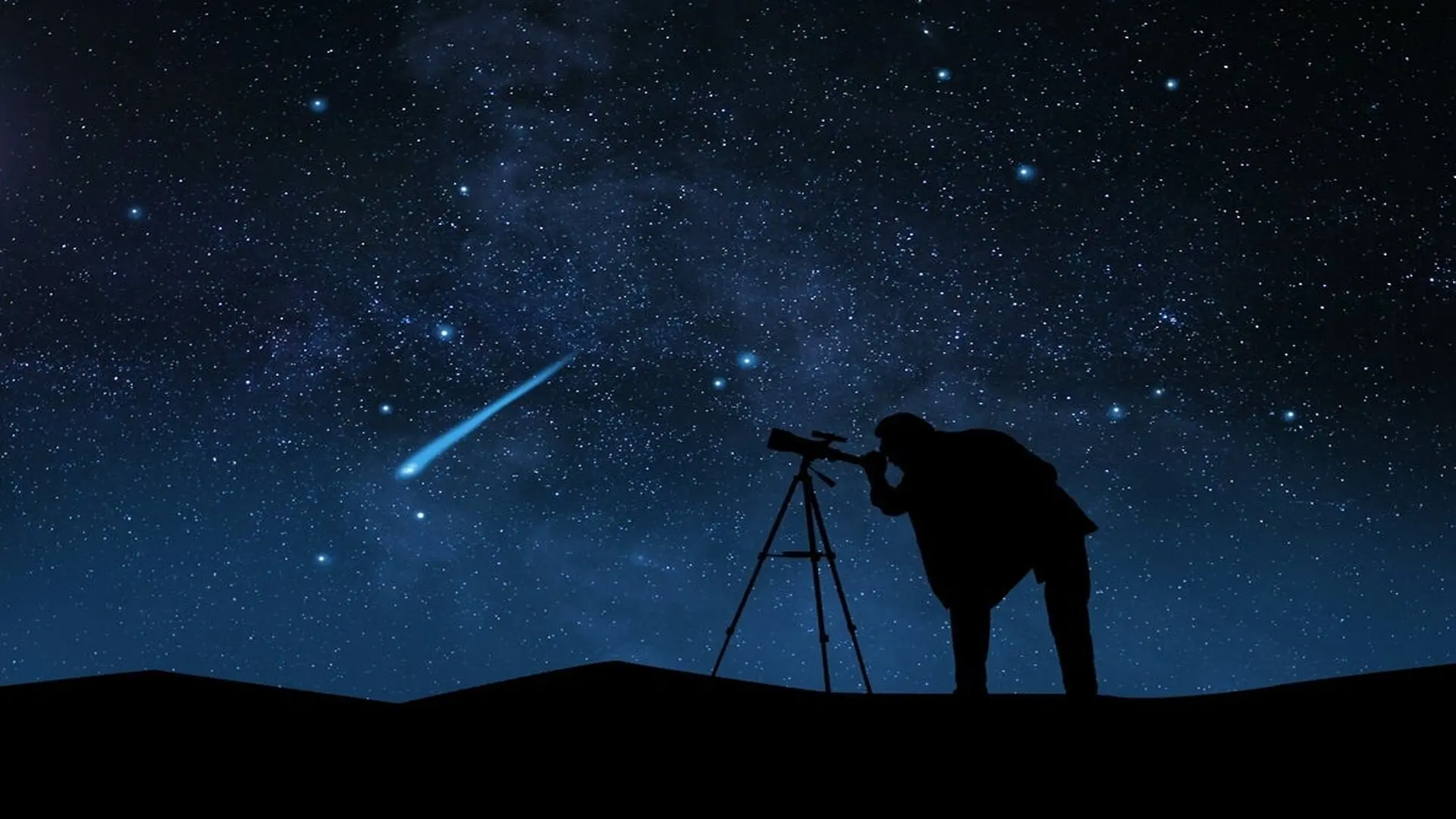 Shutterstock 1