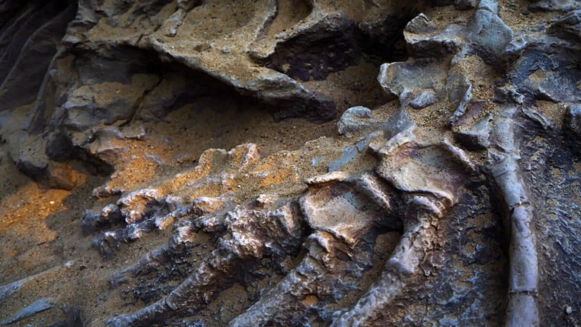 This Giant Dinosaur Lay Hidden For 120 Million Years Scaled