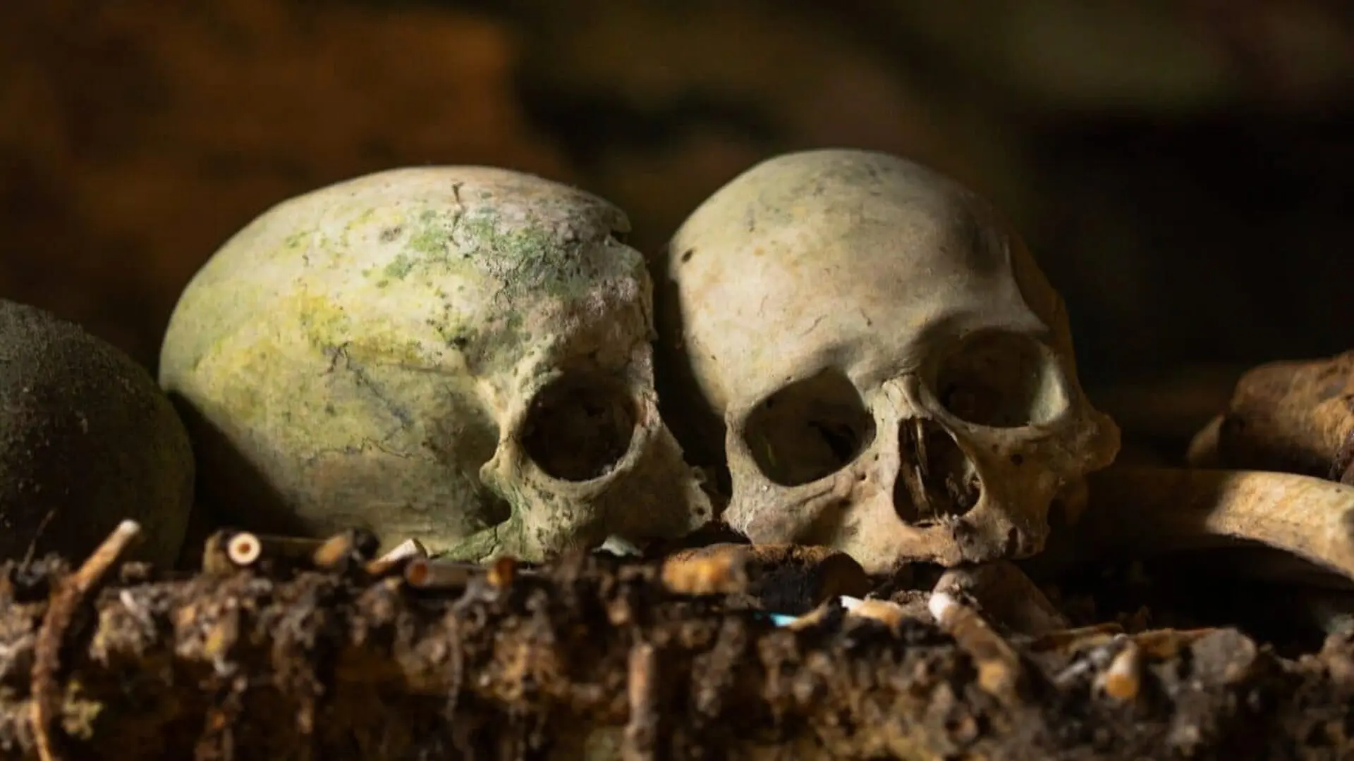 A Close Up Shows Eroded Human Skulls Resting Next To Moss Covered Bones On The Dark Earth Inside A Cave Scaled