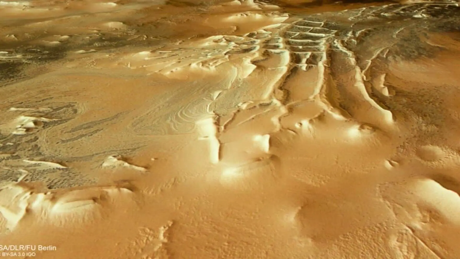Mars Spiders Emerge From Polar Ice Scaled