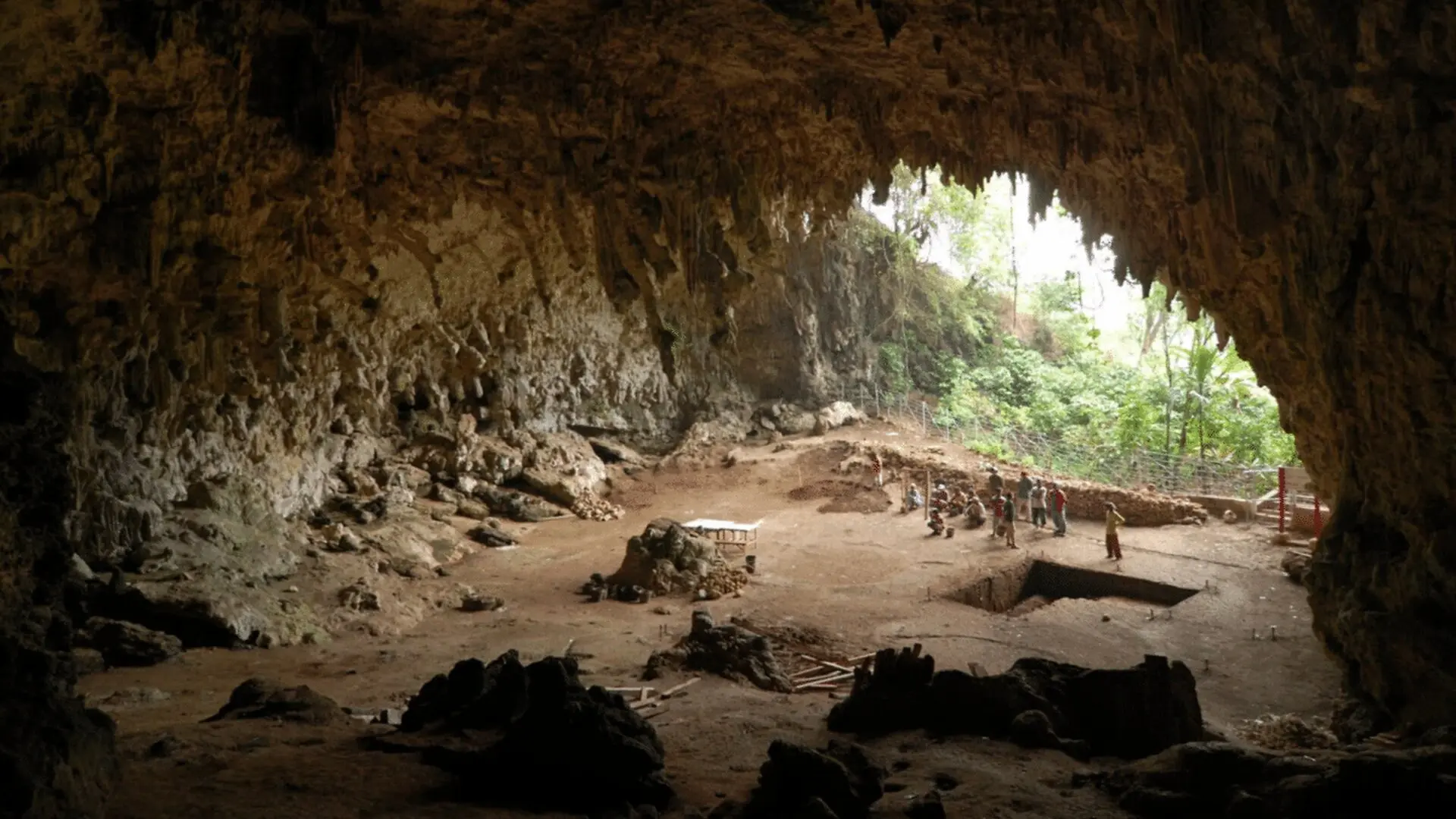 Ancient Hobbit Humans May Have Lived Off Predator Leftovers New Research Suggests Scaled