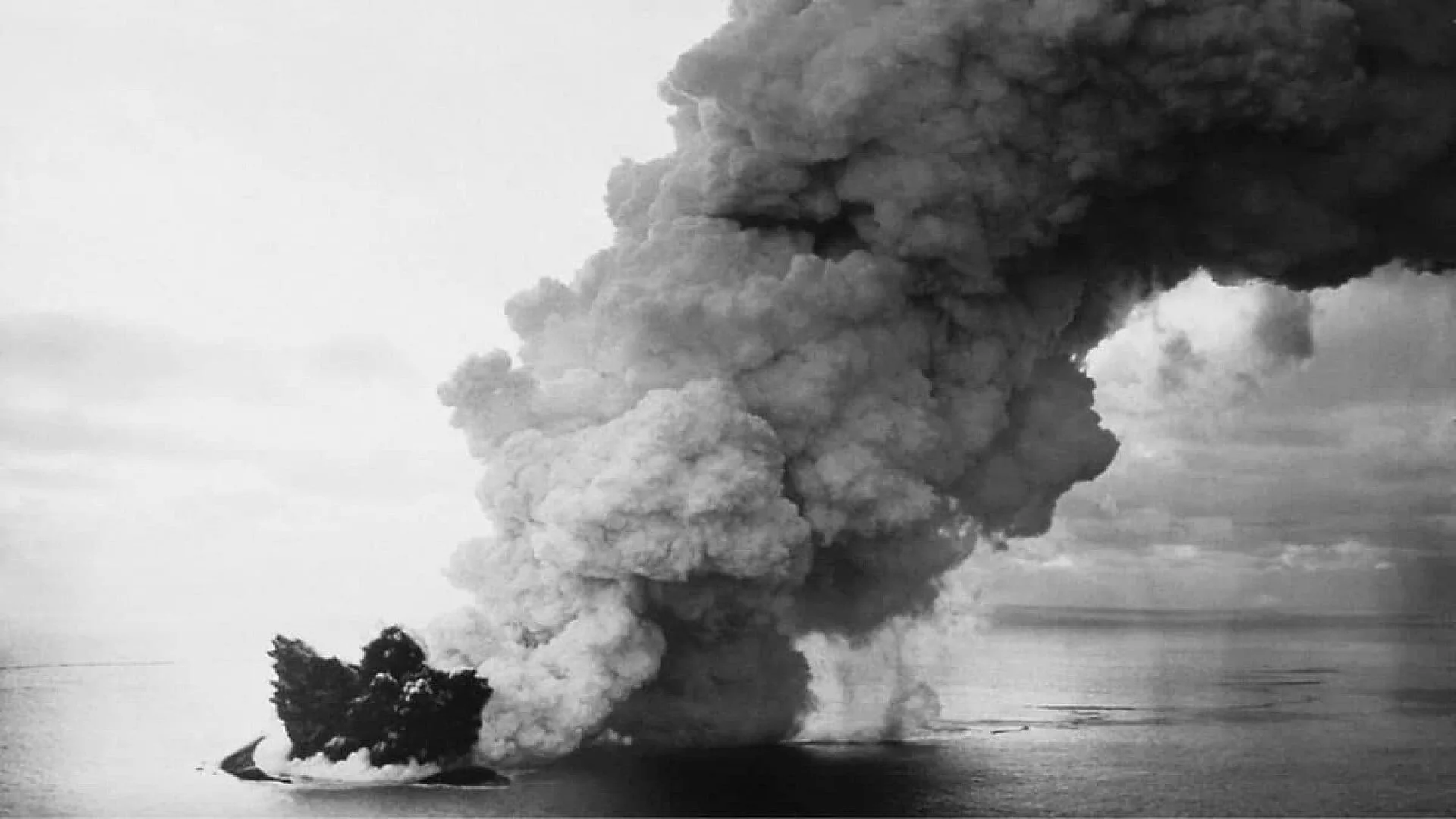 A Newborn Volcanic Island Let Scientists Watch Life Begin Scaled
