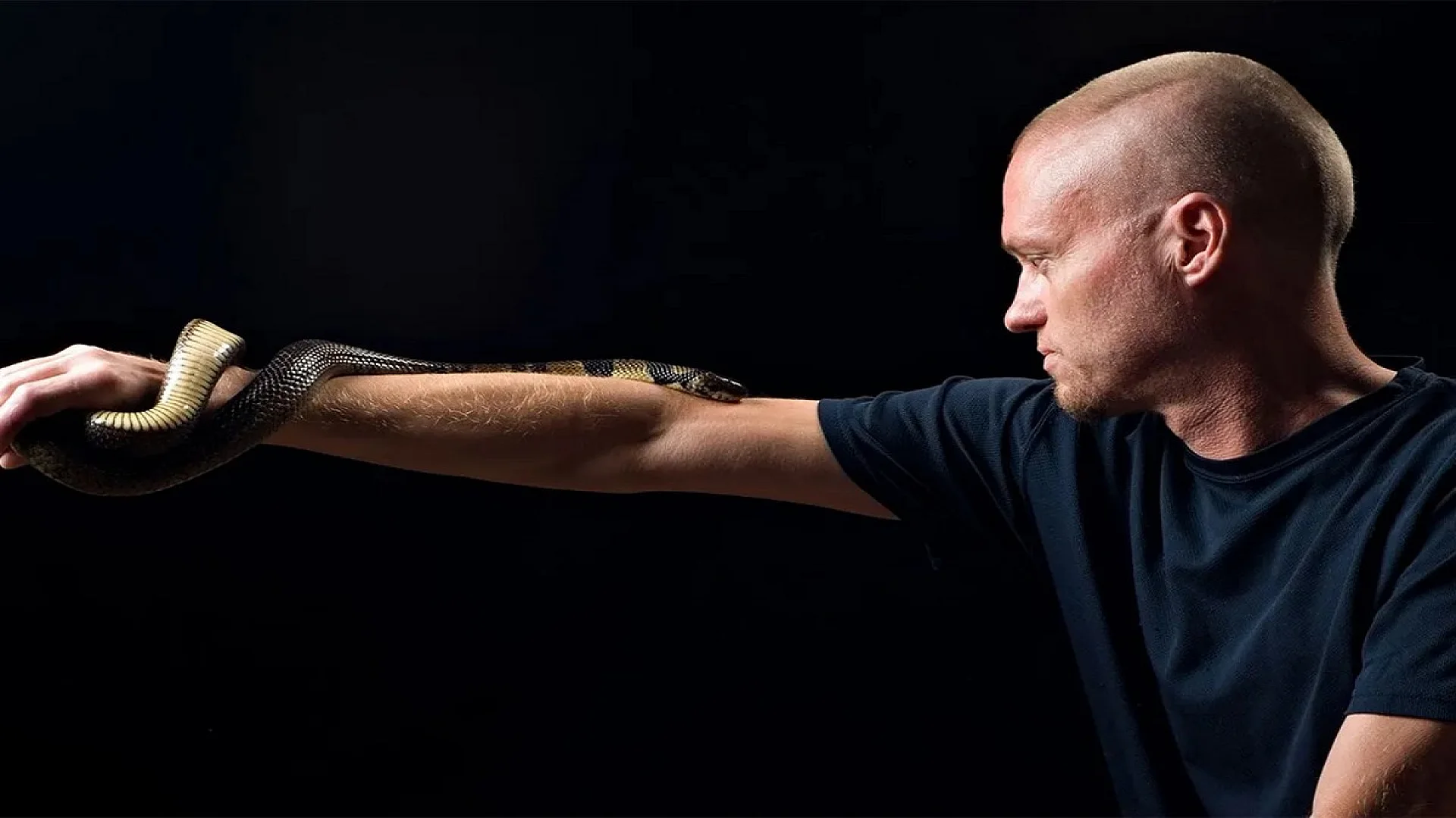 Tim Friede stands in the light with a snake on his arm