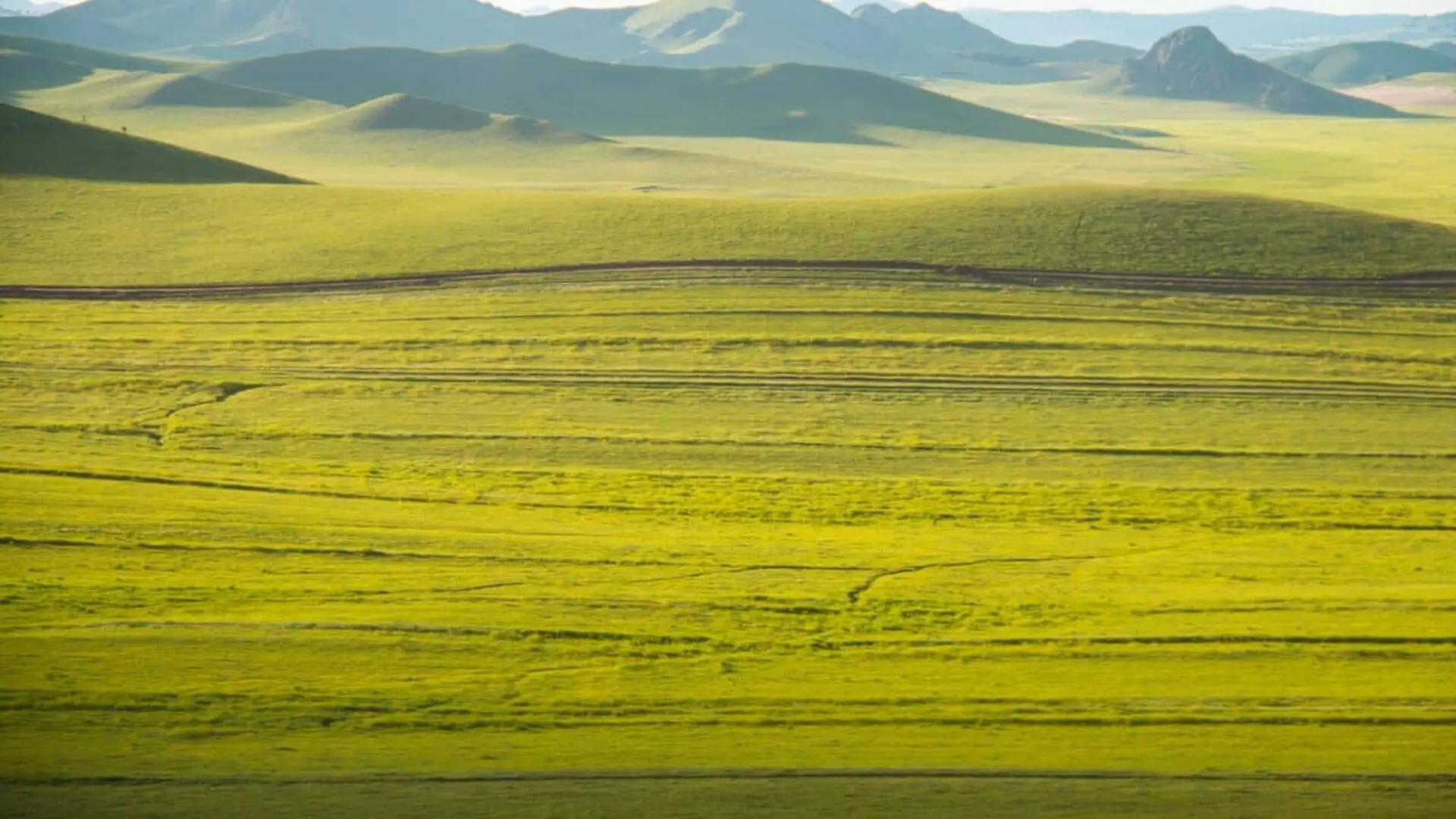 Scientists Discover Why Recovering Grasslands May Never Fully Become The Ecosystems They Were Scaled