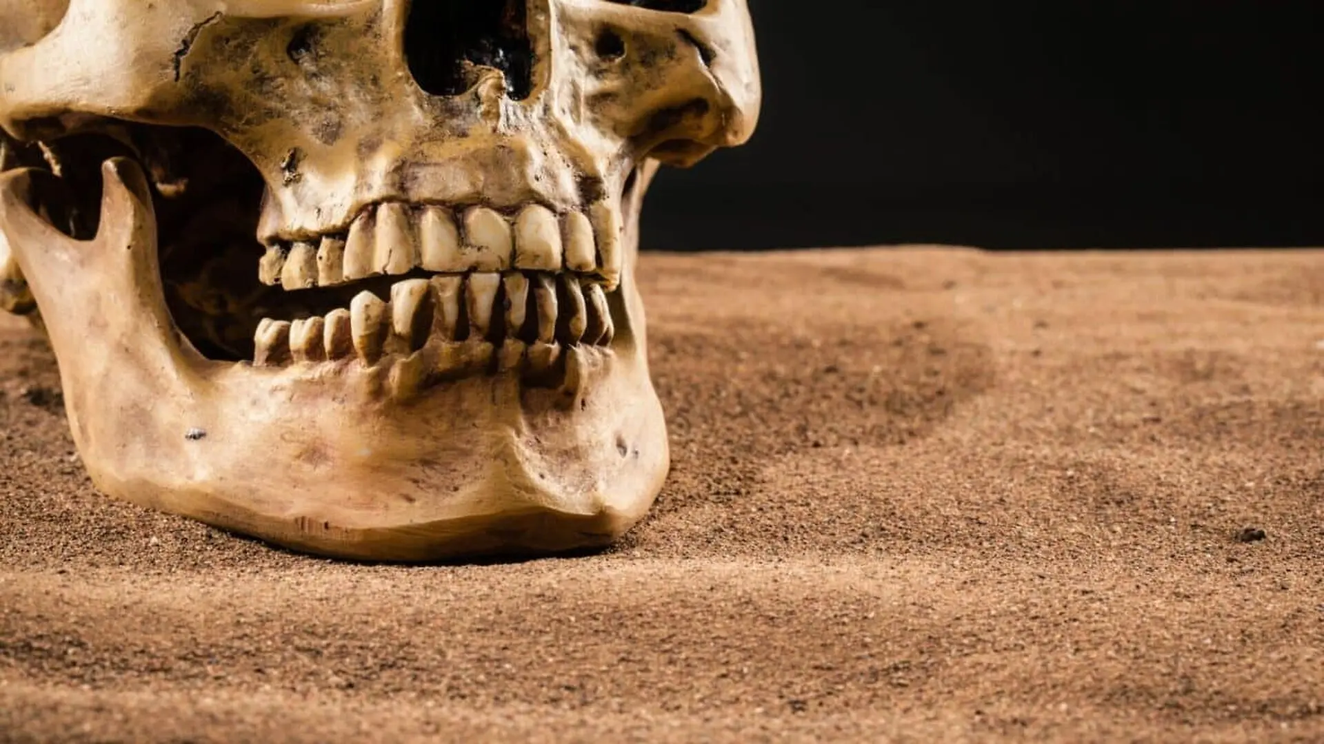Scientists Dug Up Ancient Teeth And Accidentally Found That This Bacteria Was Already Killing Humans Years Ago Scaled
