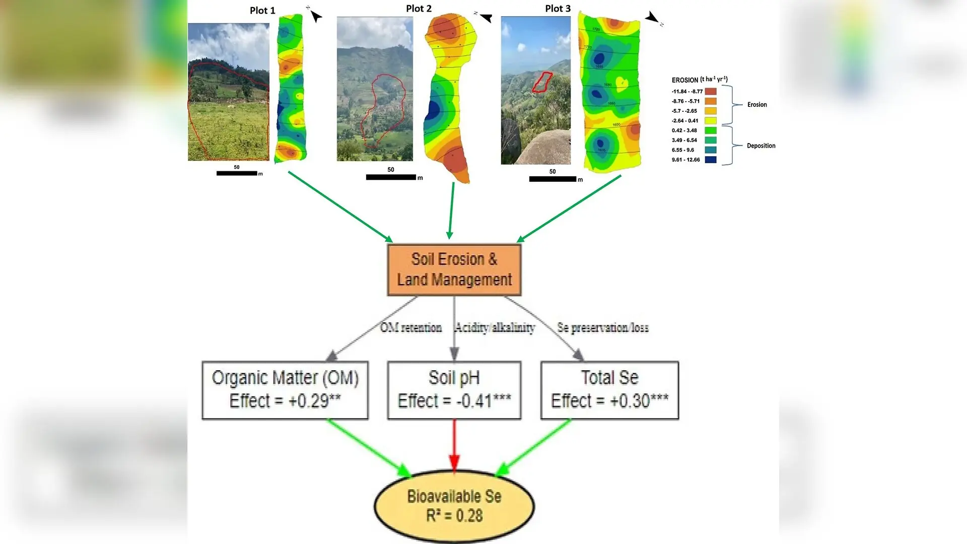 Soil Erosion Is Secretly Draining Vital Micronutrients From Farmland