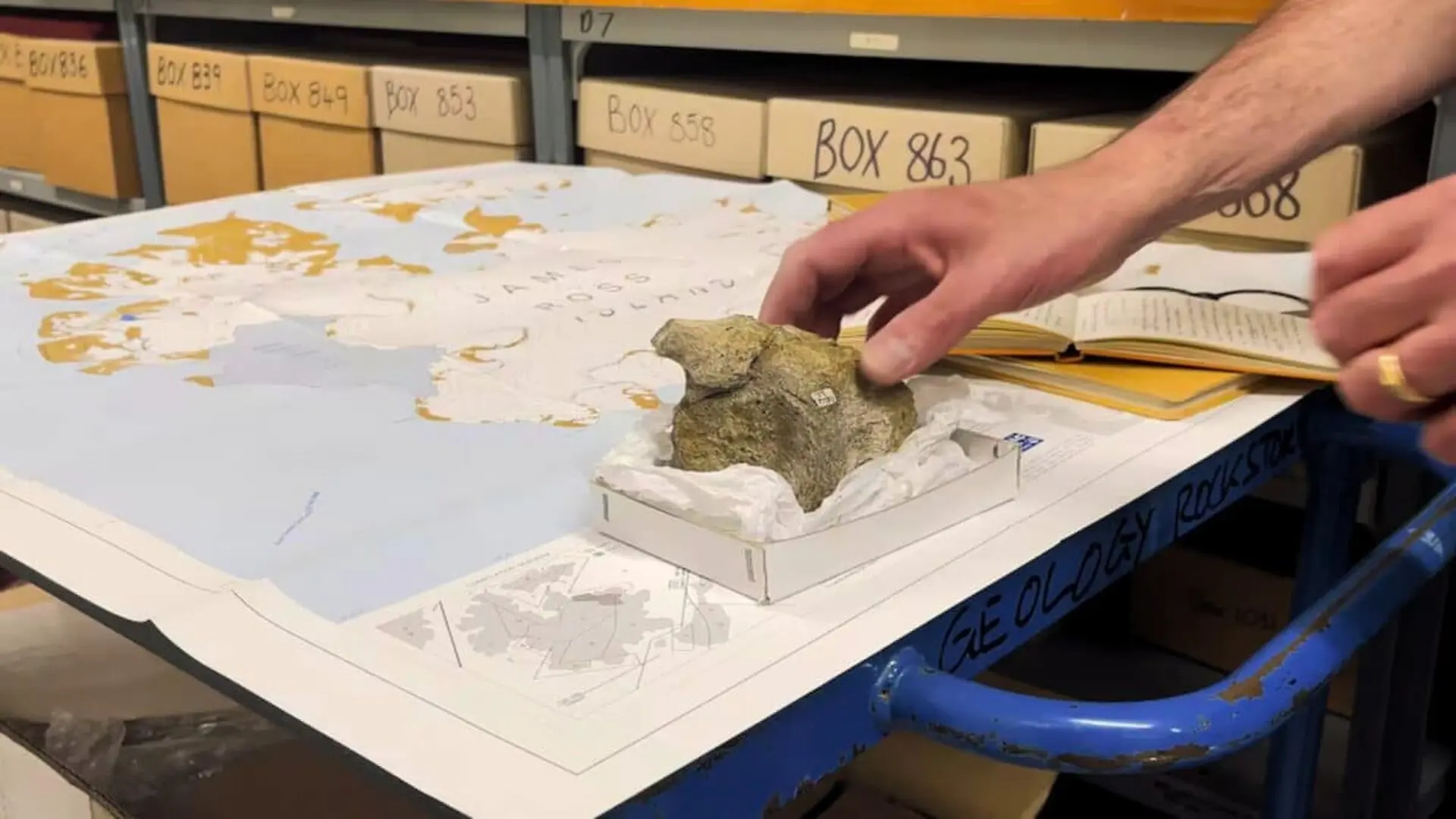 The Dinosaur Bone Was Kept In A Drawer For 40 Years Scaled