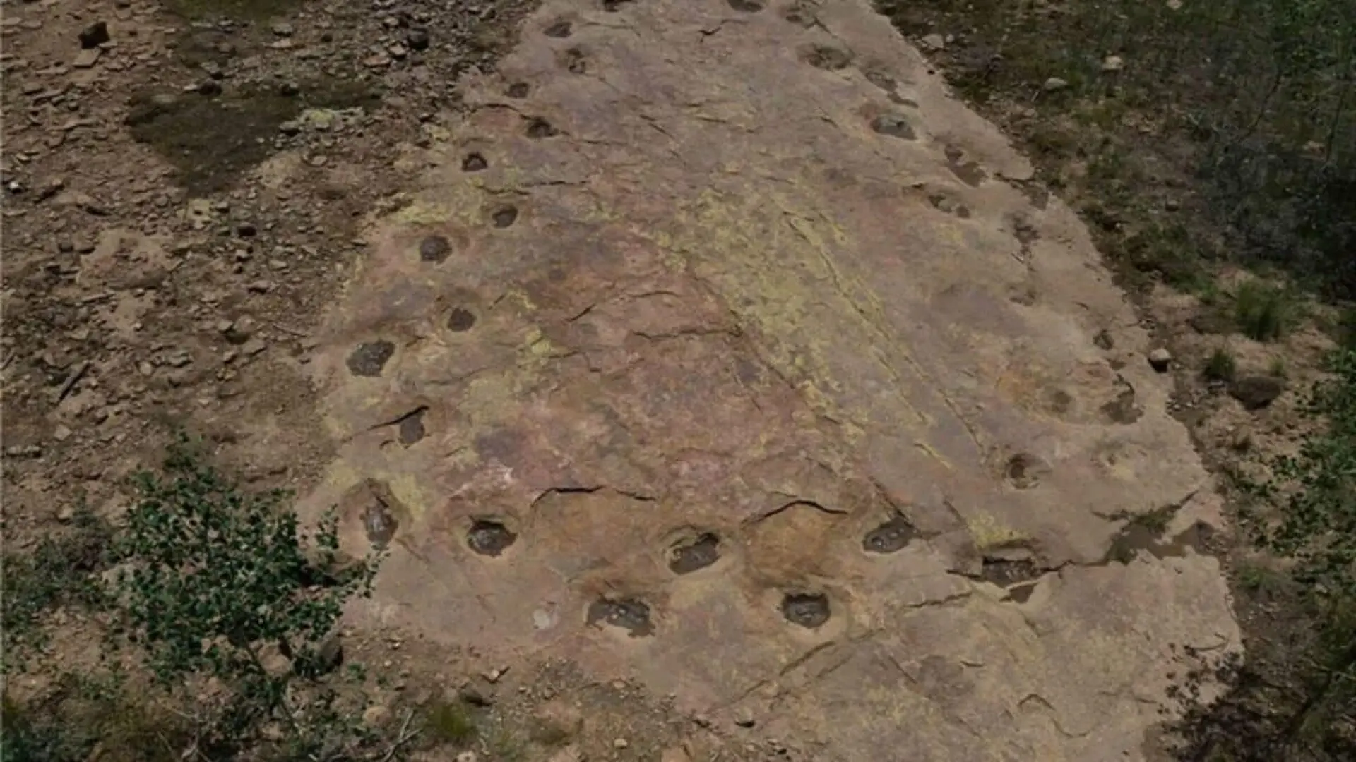 Preserved In Stone For 150 Million Years This Rare Footprint Trail Reveals Something Strange About The Way A Dinosaur Walked Scaled
