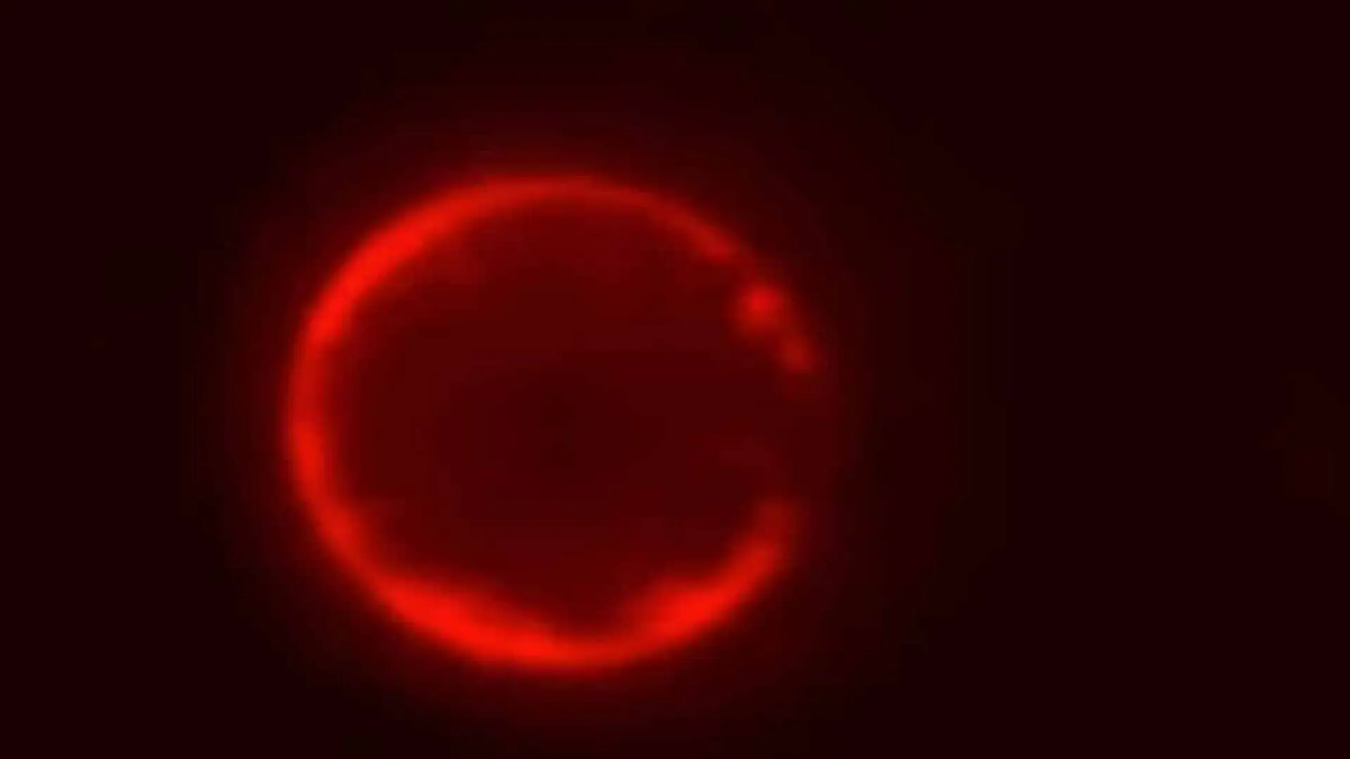 A Synthetic Cell Built Entirely From Scratch Has Reached A Milestone That Scientists Once Thought Impossible Scaled