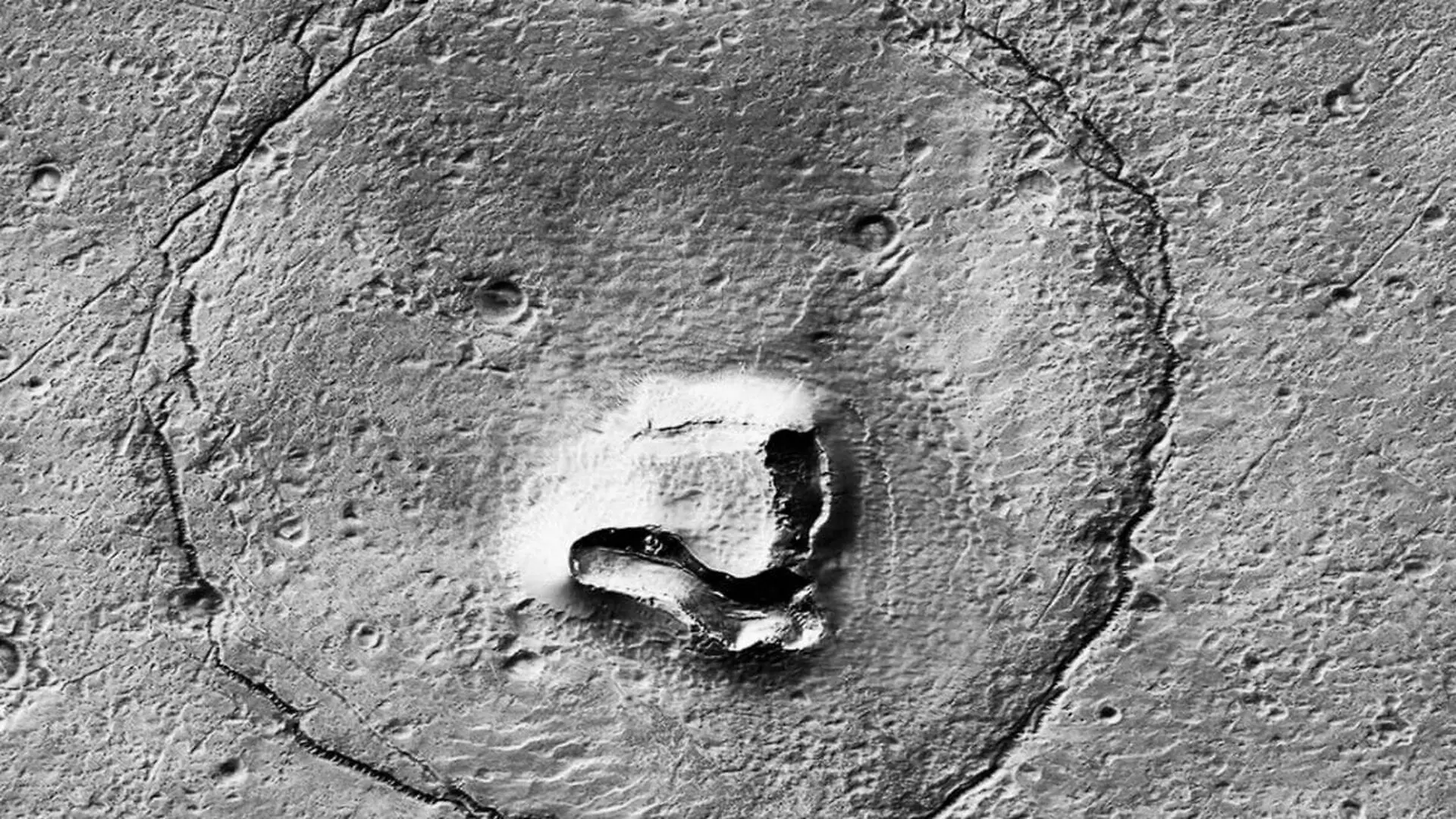 Its Eyes Nose And Head Have Separate Origins Scaled