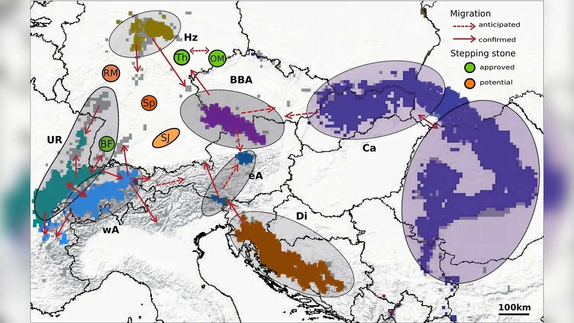 Central European Lynx Populations Fall Short of Genetic Stability Goals