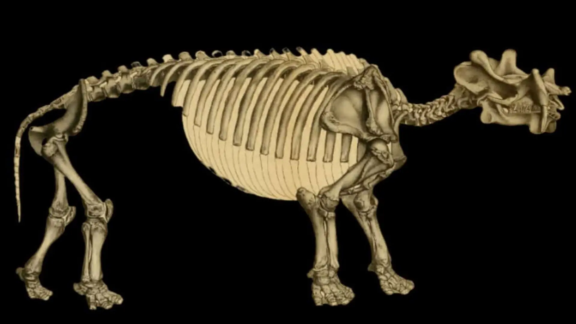 A 58 Million Year Old Fossil Is Turning A Century Old Scientific Assumption Upside Down Scaled