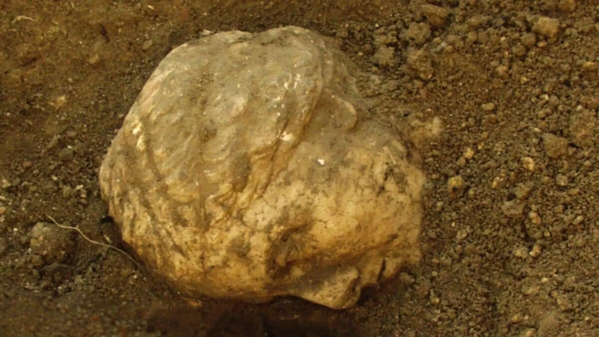 A Roman Era Sculpture Found Beneath An Ancient House Reveals The Face Of A Woman History Nearly Forgot Scaled