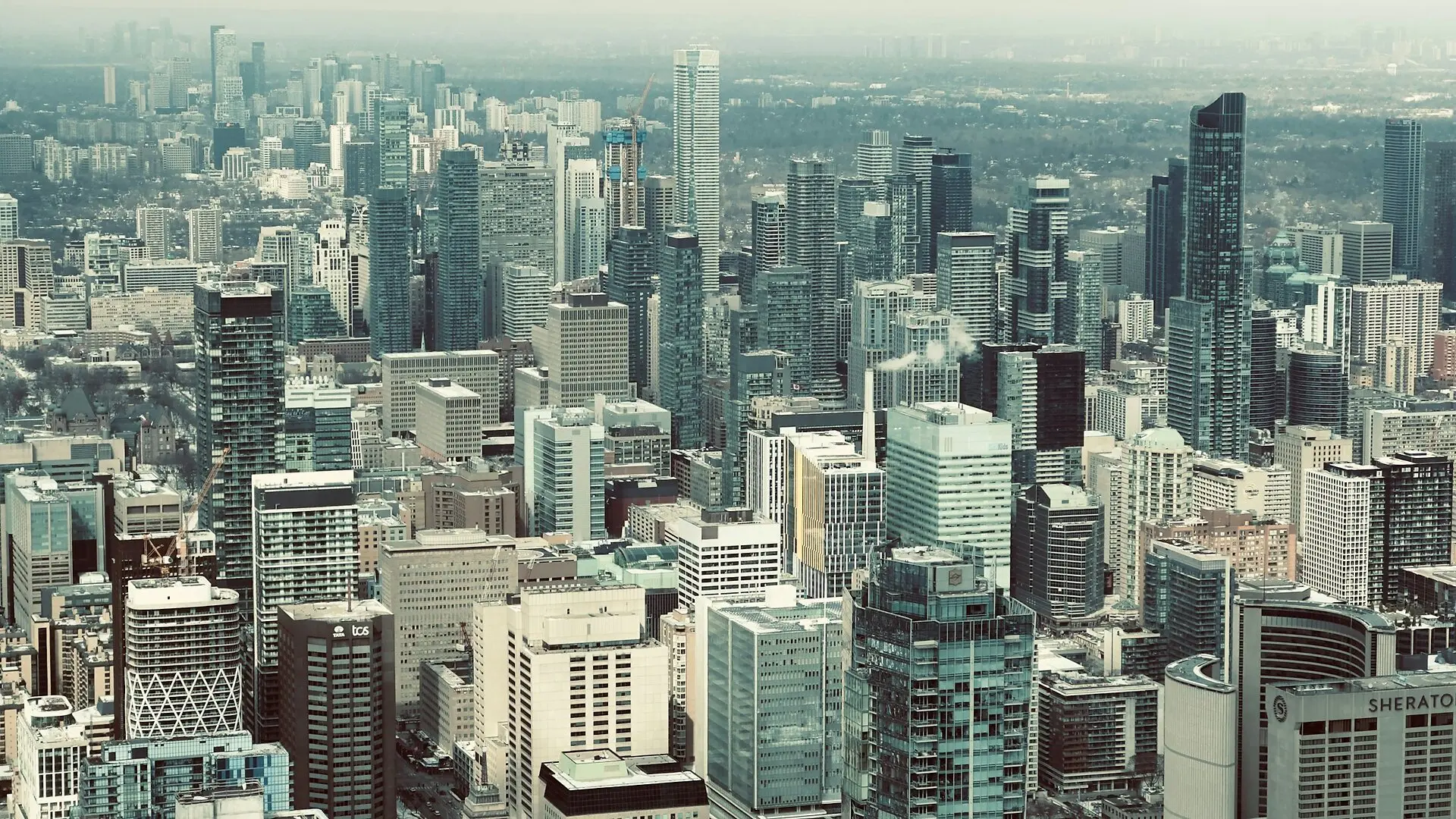 Why Cities Grow More Creative As They Scale While Companies Stagnate