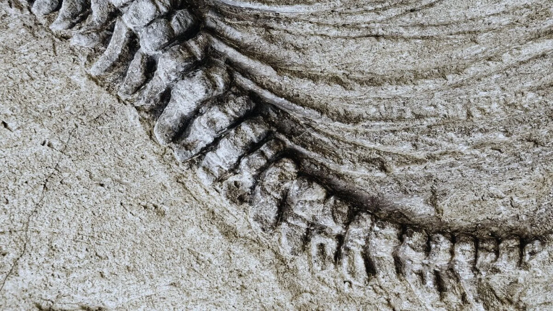 Scientists Unearthed A 100 Foot Dinosaur Fossil So Heavy It Cracked The Road Beneath During Transport Scaled
