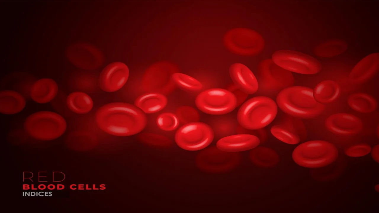 Realistic red blood cells flowing through artery background.