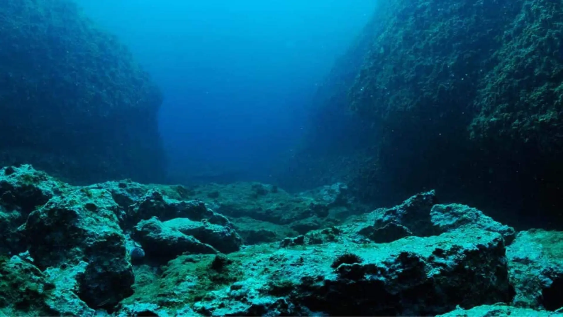 The Ocean Floor Split Open In Hours Scaled