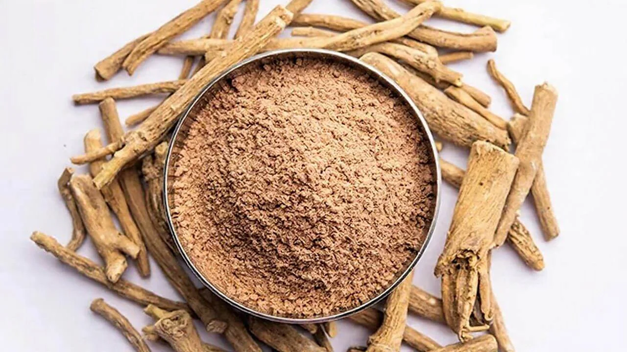 A stainless steel bowl filled with fine brown ashwagandha powder, surrounded by dried ashwagandha root segments on a clean white surface.