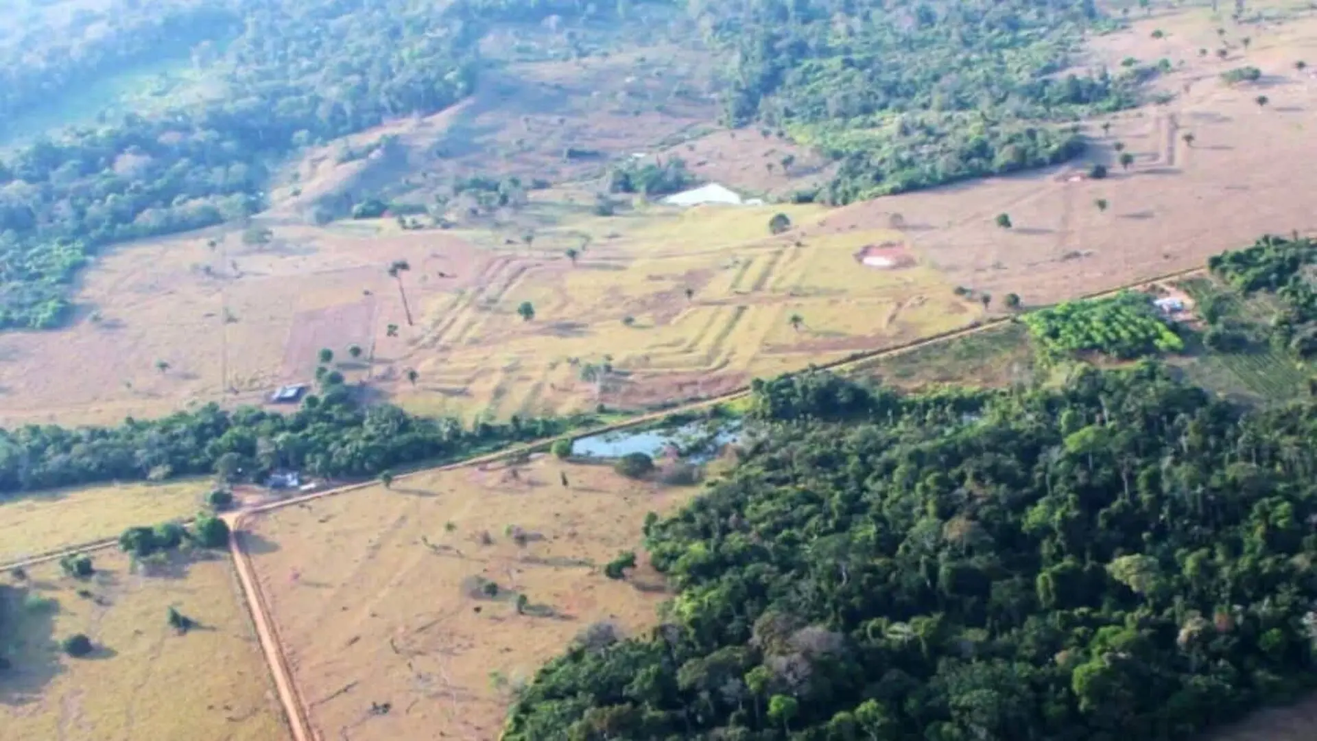 Scientists Found Nearly 400 Hidden Structures Under The Amazon And The Real Number Could Be Scaled