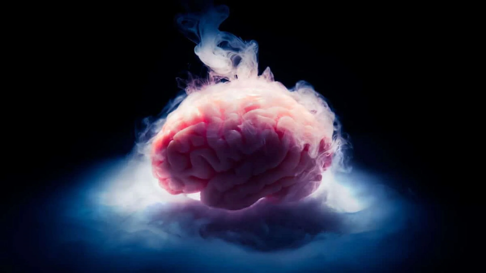 Scientists Revive Mouse Brains Frozen To 196%c2%b0c Hinting At Possible Human Applications Scaled