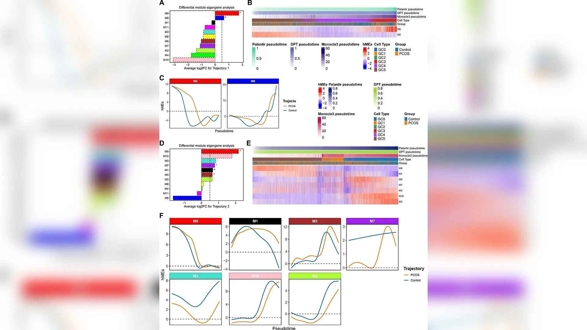 Ovarian Cell Subtype Trapped in Immature State Linked to Polycystic Ovary Syndrome