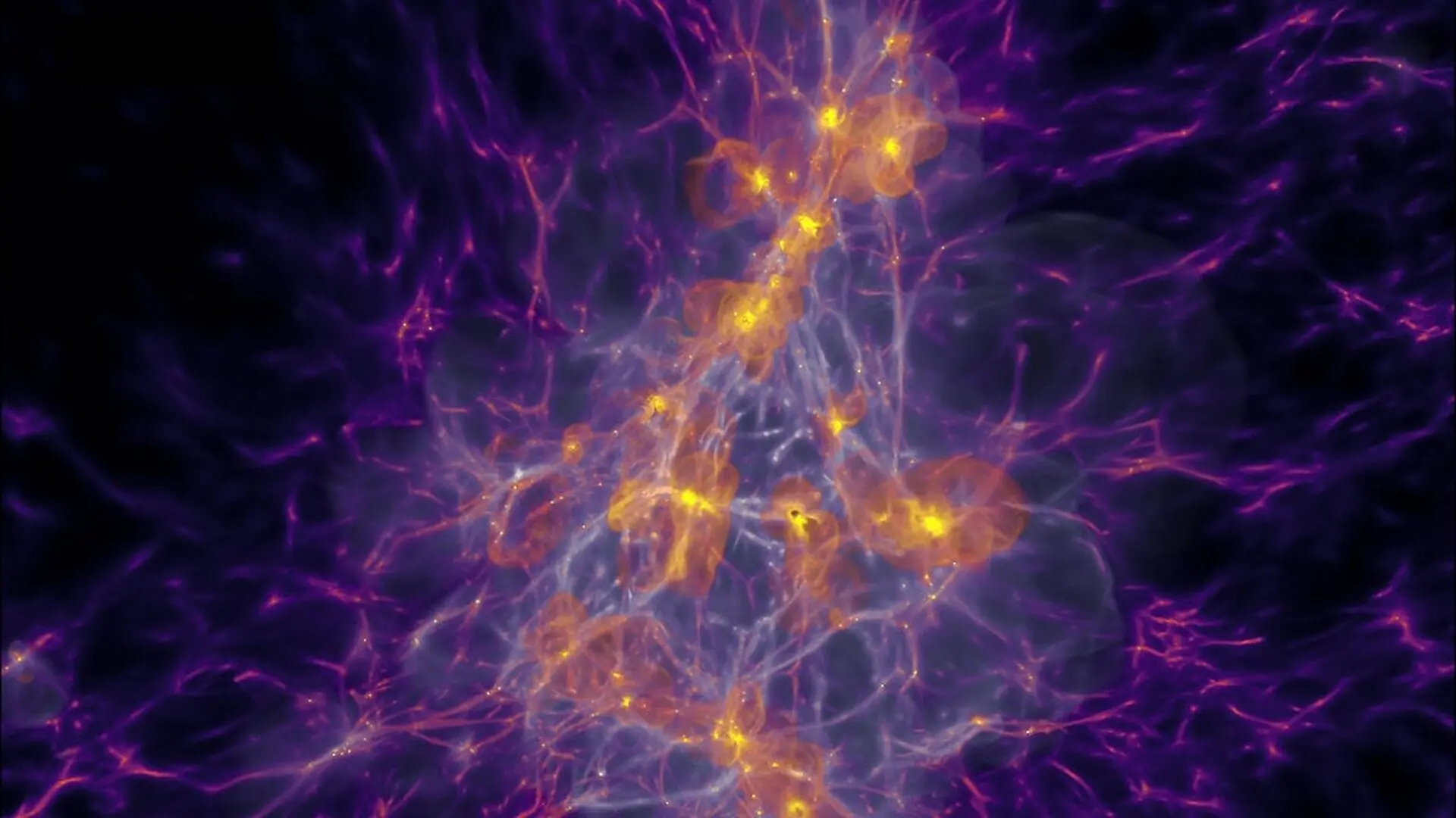 The purple cosmic web of gas feeds intense star formation in the first galaxies. As stars live and die, they produce oxygen (yellow) and photons (white), all self-consistently evolved and tracked together by the new Megatron simulations. (CREDIT: Harley B. Katz, Martin P. Rey)