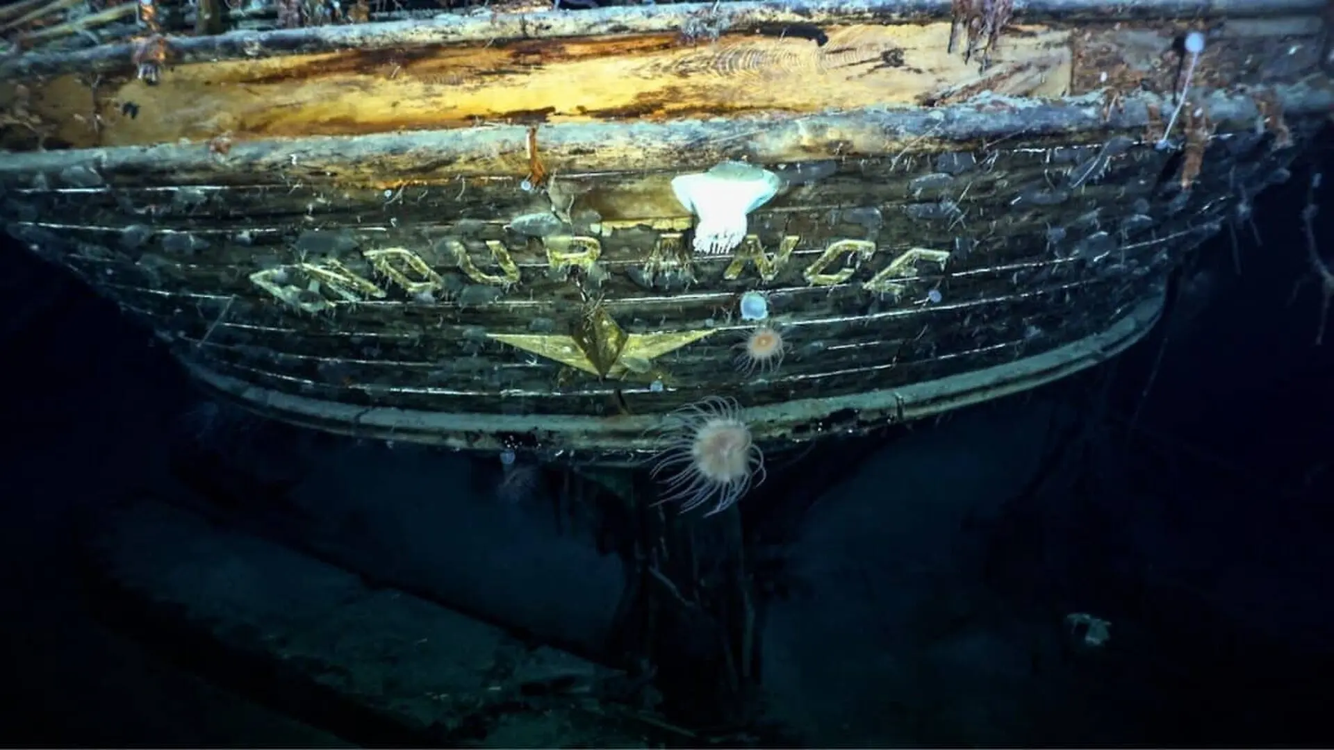 Shackletons Lost Ship Wasnt There Scaled