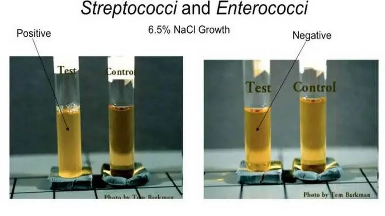 SALT TOLERANCE TEST