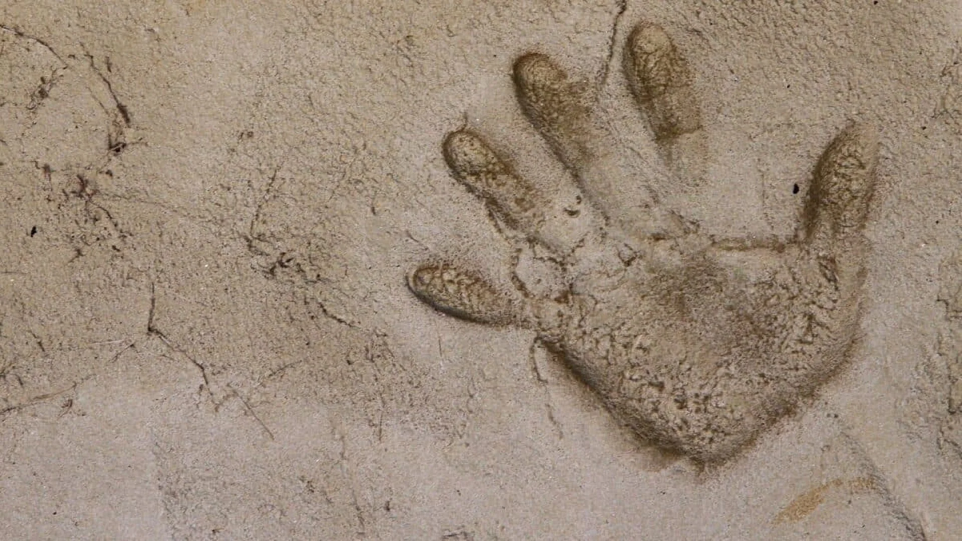 Archaeologists Found A Complete Year Old Handprint Hidden Beneath An Egyptian Artifact Scaled