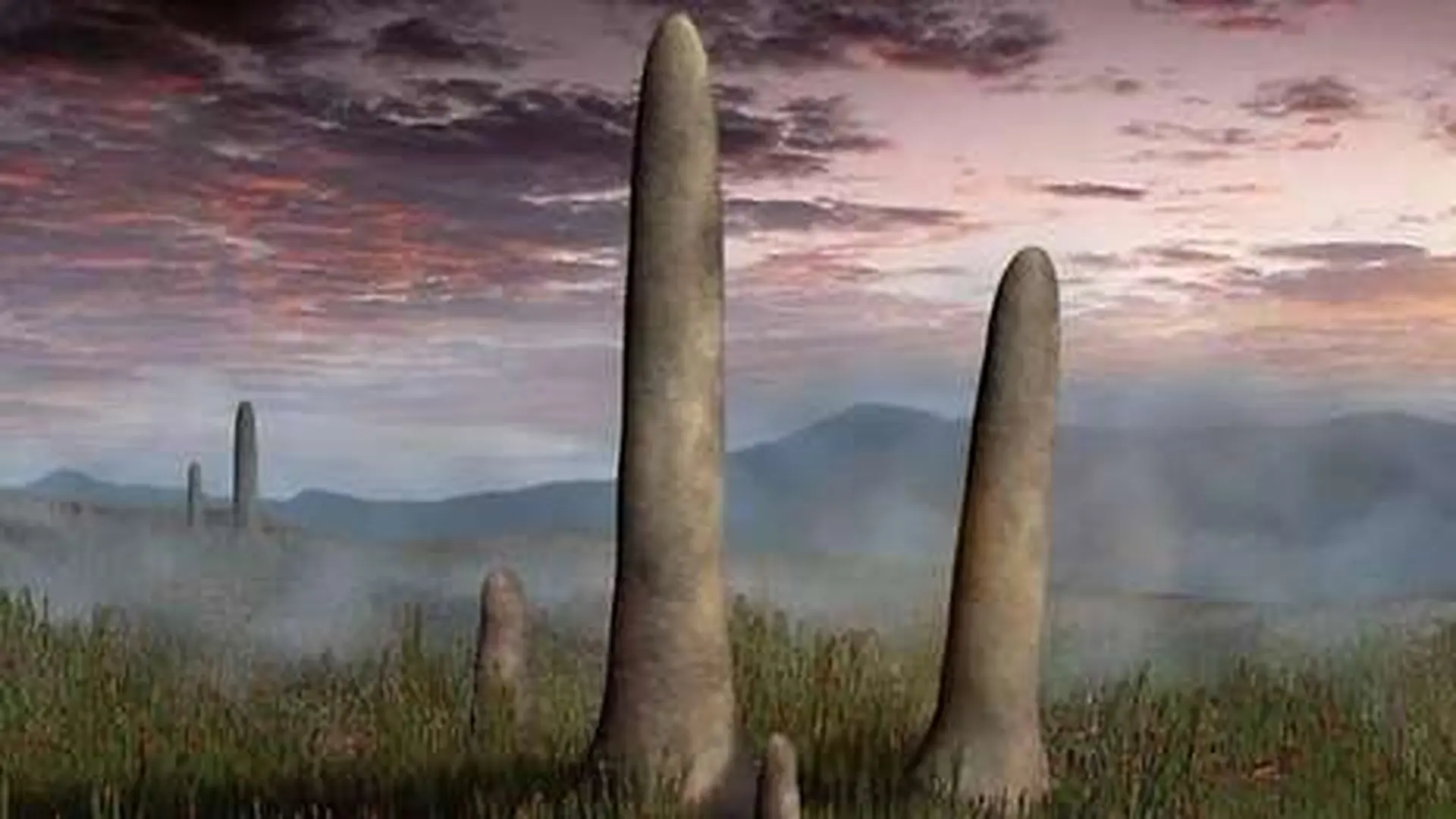 A Mysterious 8 Meter Giant Fossil From Scotland Has Revealed An Ancient Life Form With No Modern Equivalent Scaled