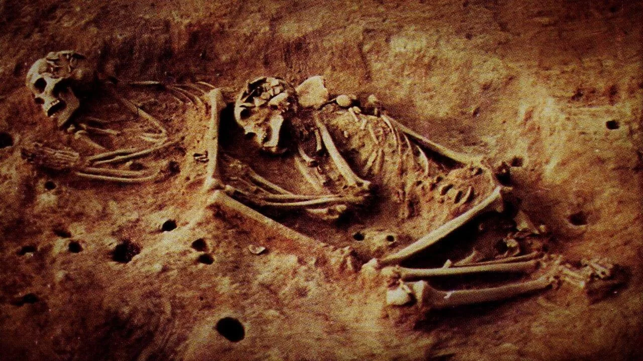 Excavated ancient hunter-gatherer skeletons in the Sabana de Bogotá region of Colombia, used to identify a 5,500-year-old treponemal genome.