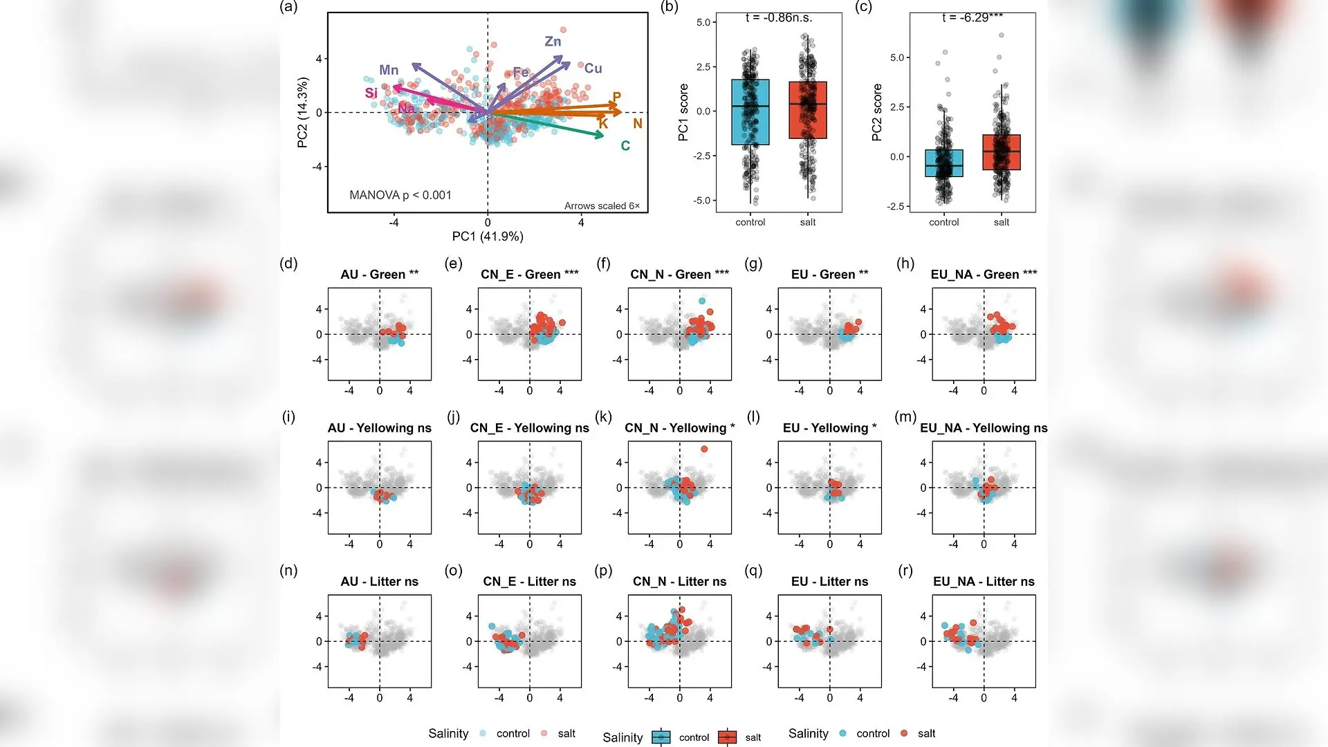 Salt Stress Shocks Widespread Grass But Leaves Nutrient Recycling Frozen in Time